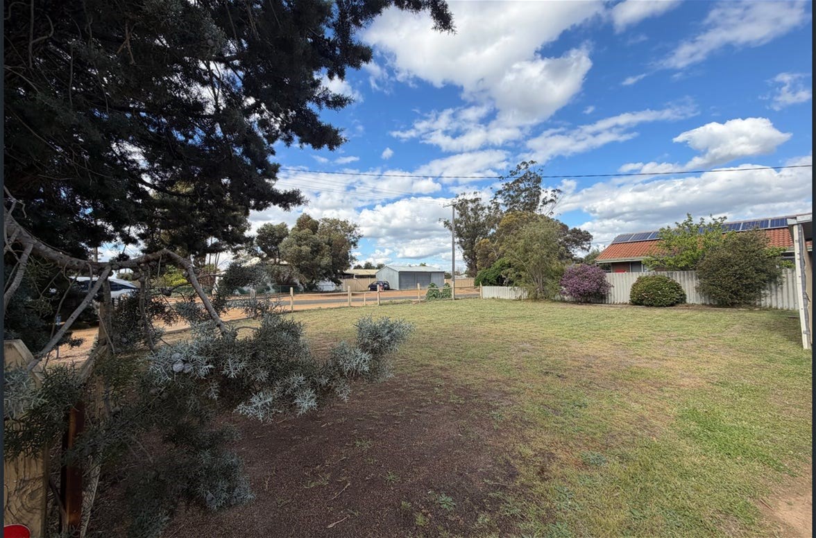 20 Blantyre Street, Katanning, WA 6317, photo 3