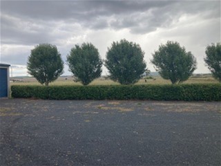 Ascot Vale – 67acres. 4 12