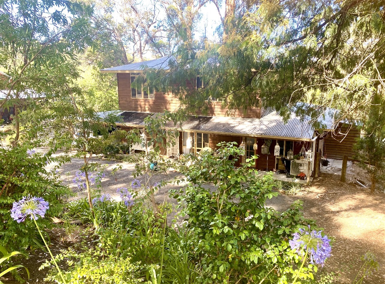 Family Forrest Retreat