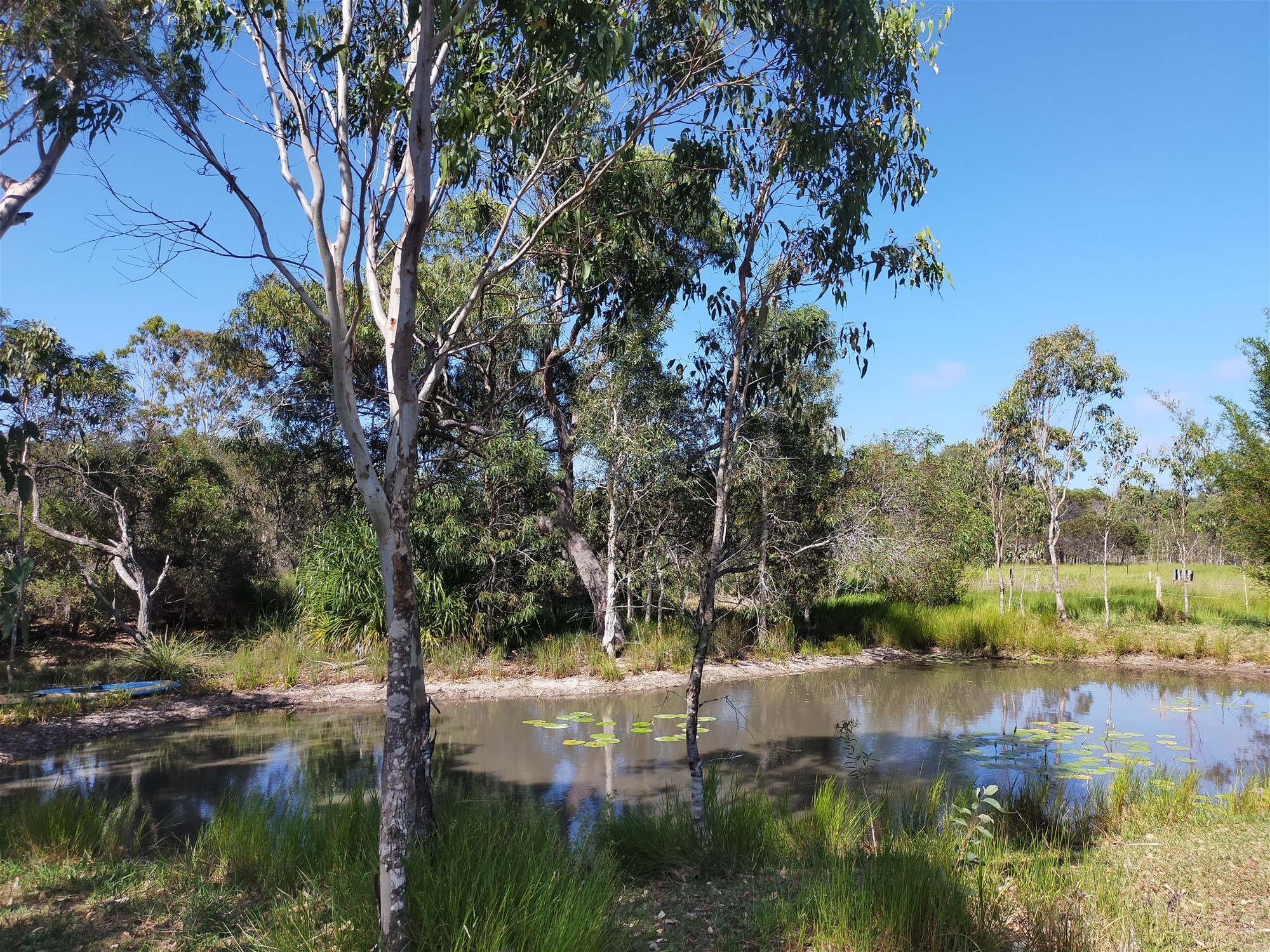 4 acres and Home close 12