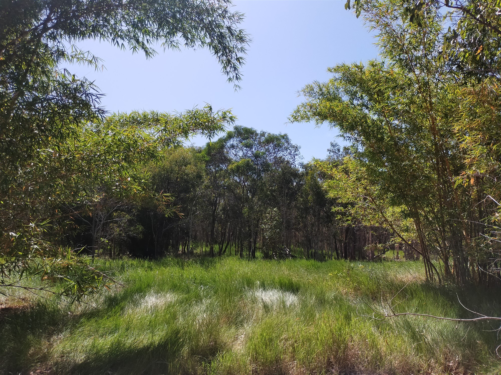 4 acres and Home close 14