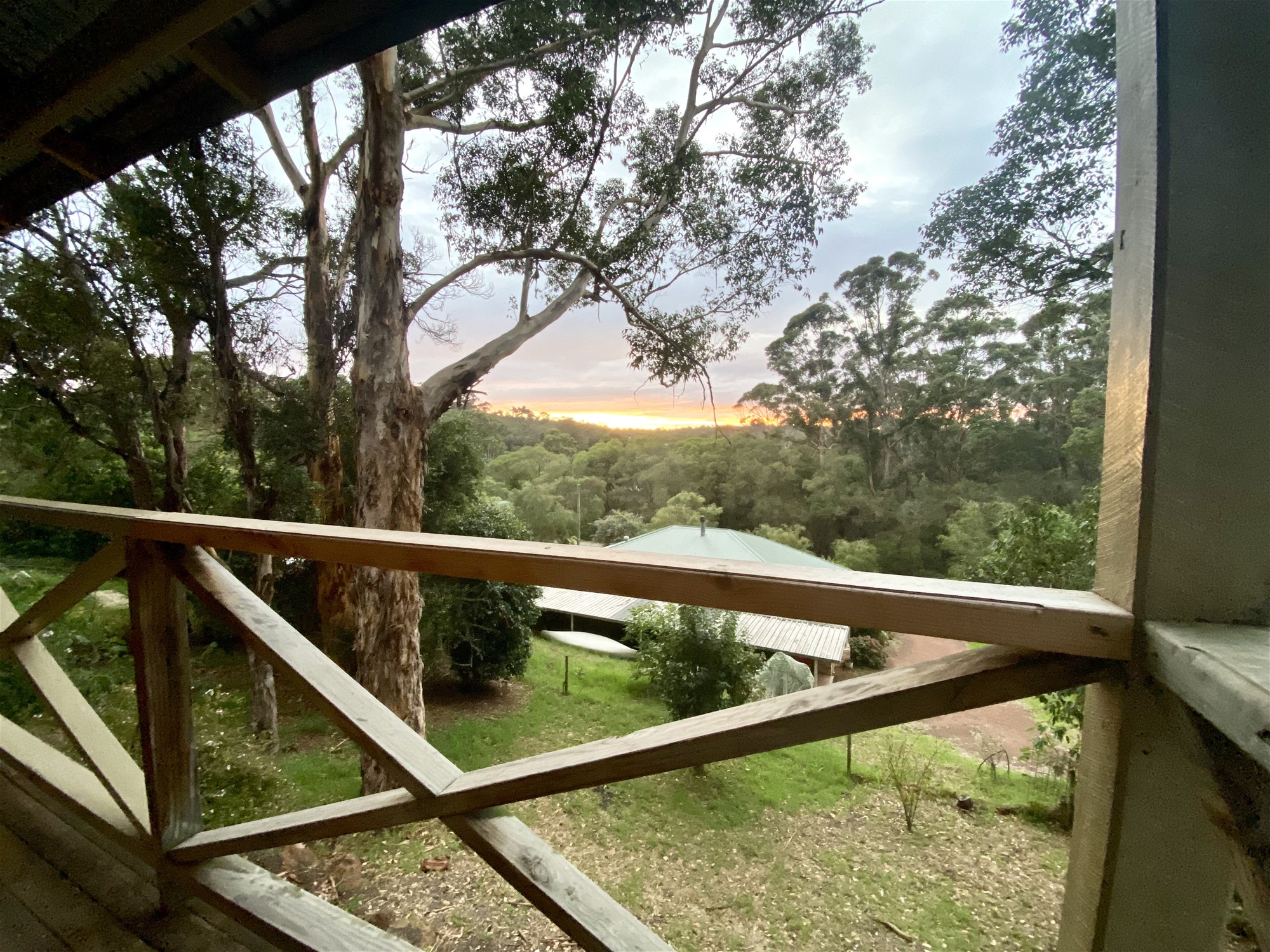 Family Forrest Retreat 23