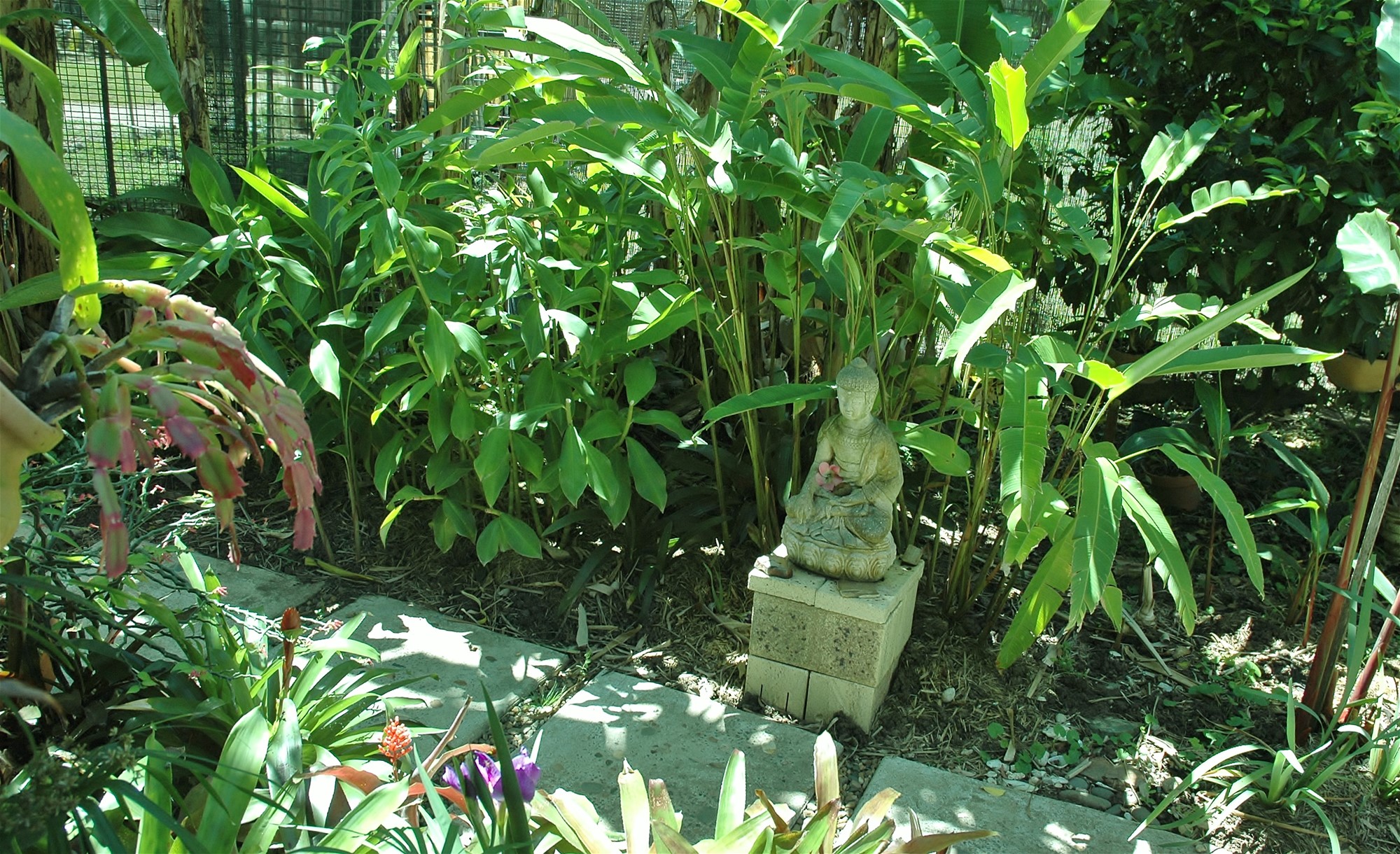 ‘Park and Rest’ Character Home- 8