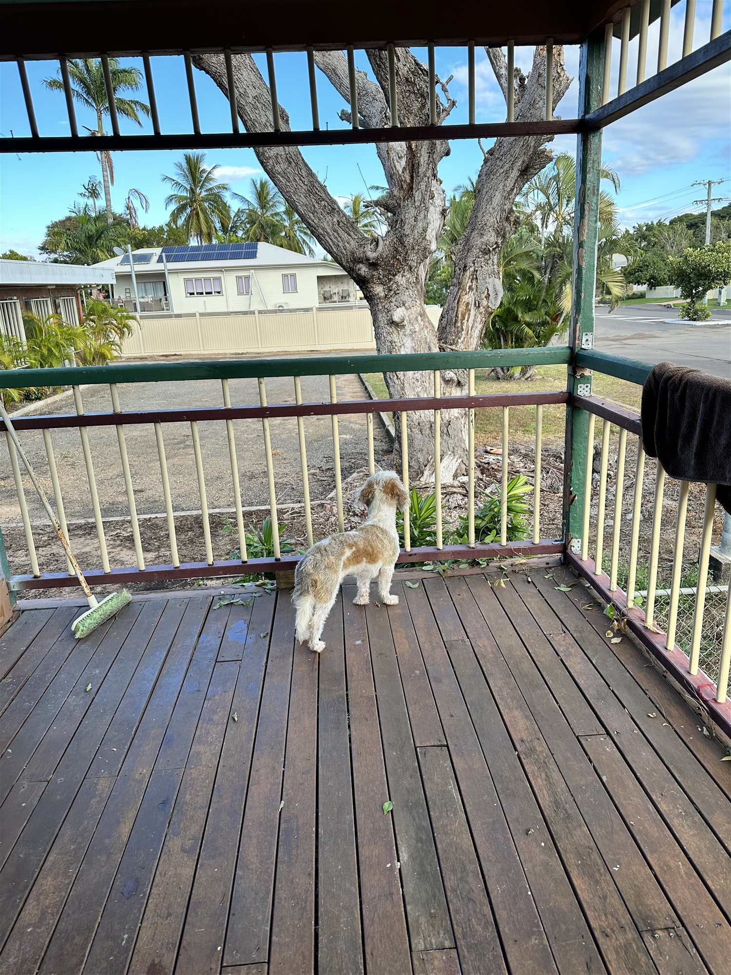 City/Stadium /Port / Amazing quiet 16