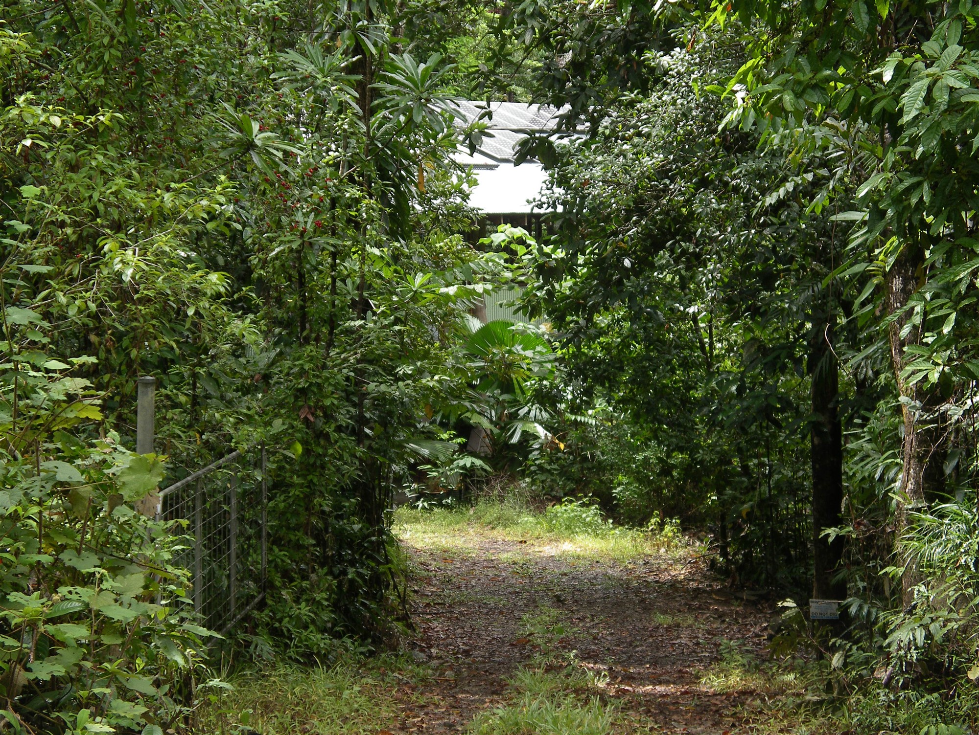 Daintree rainforest retreat 2