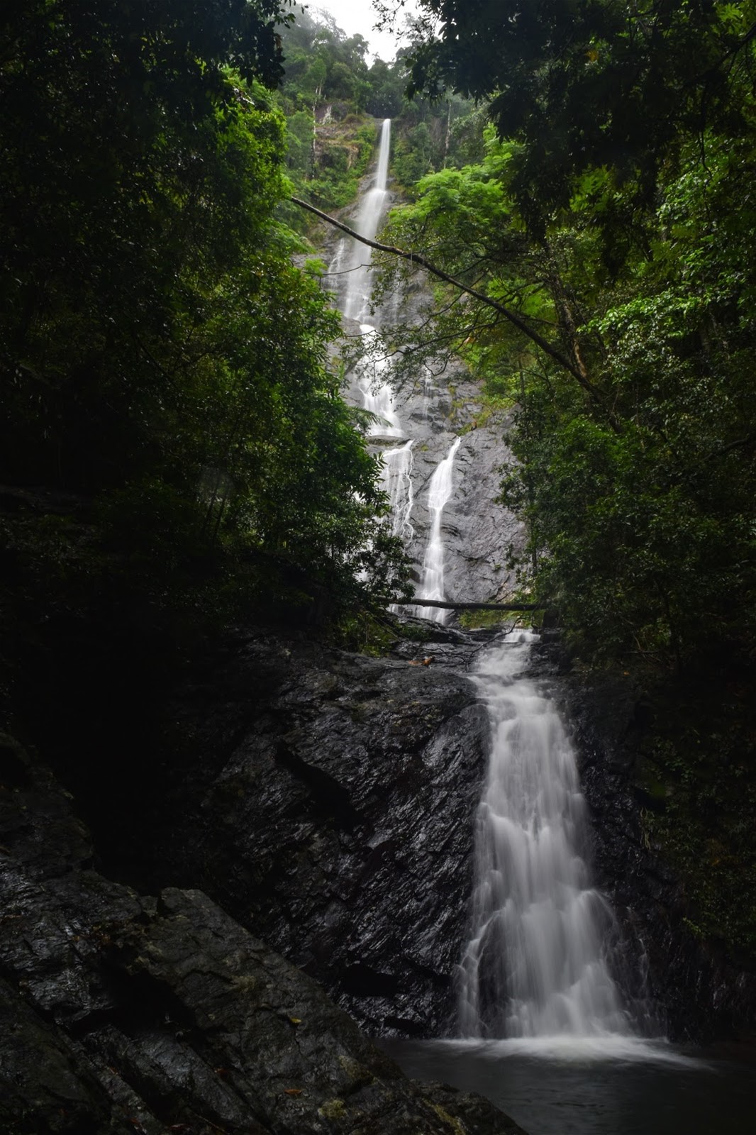 Daintree rainforest retreat 7