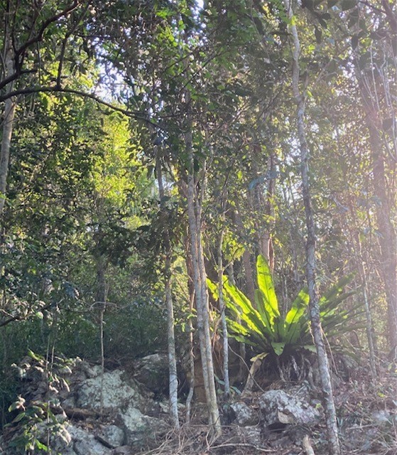 Your own private ridgetop sanctuary 3