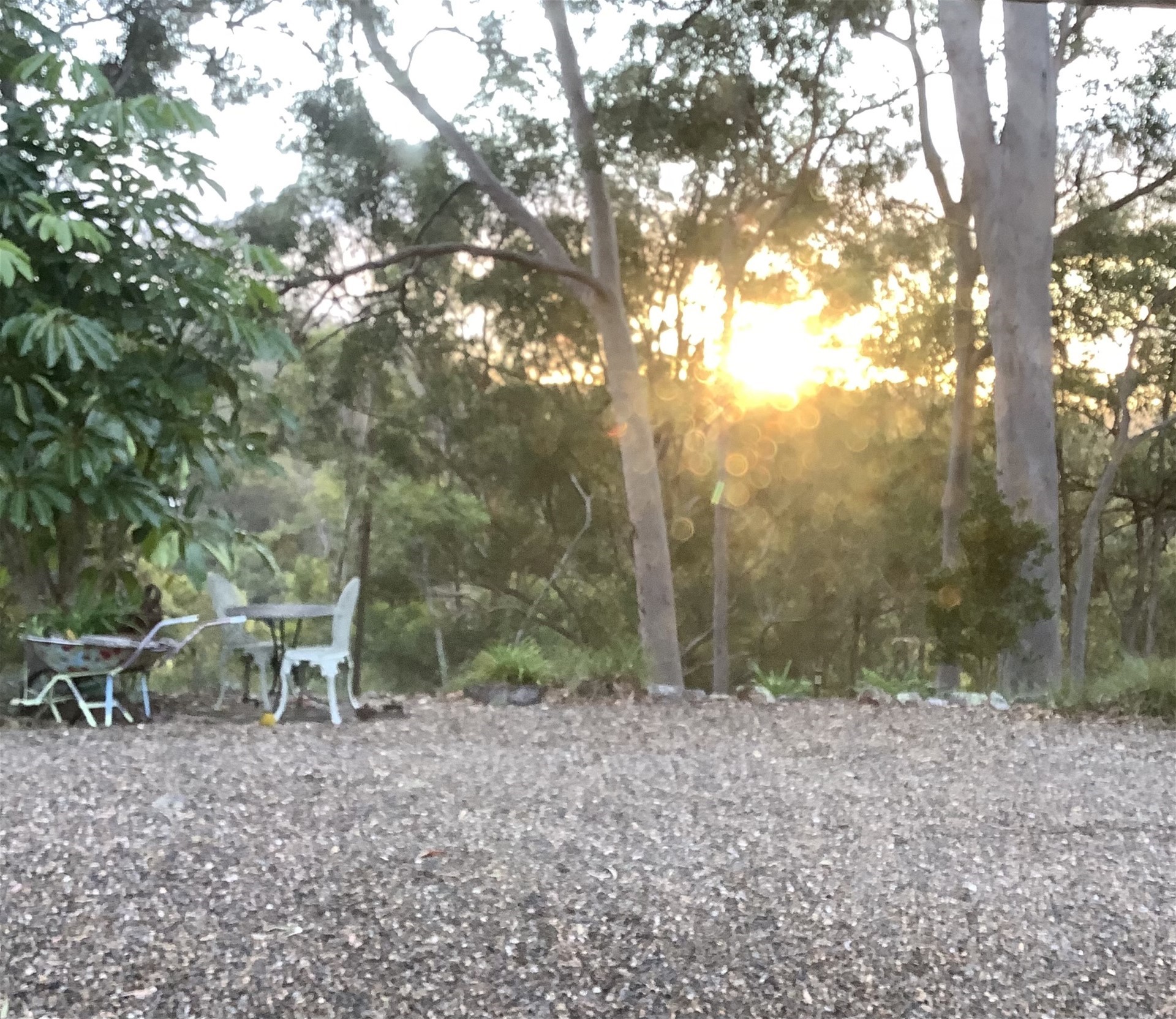 Your own private ridgetop sanctuary 8