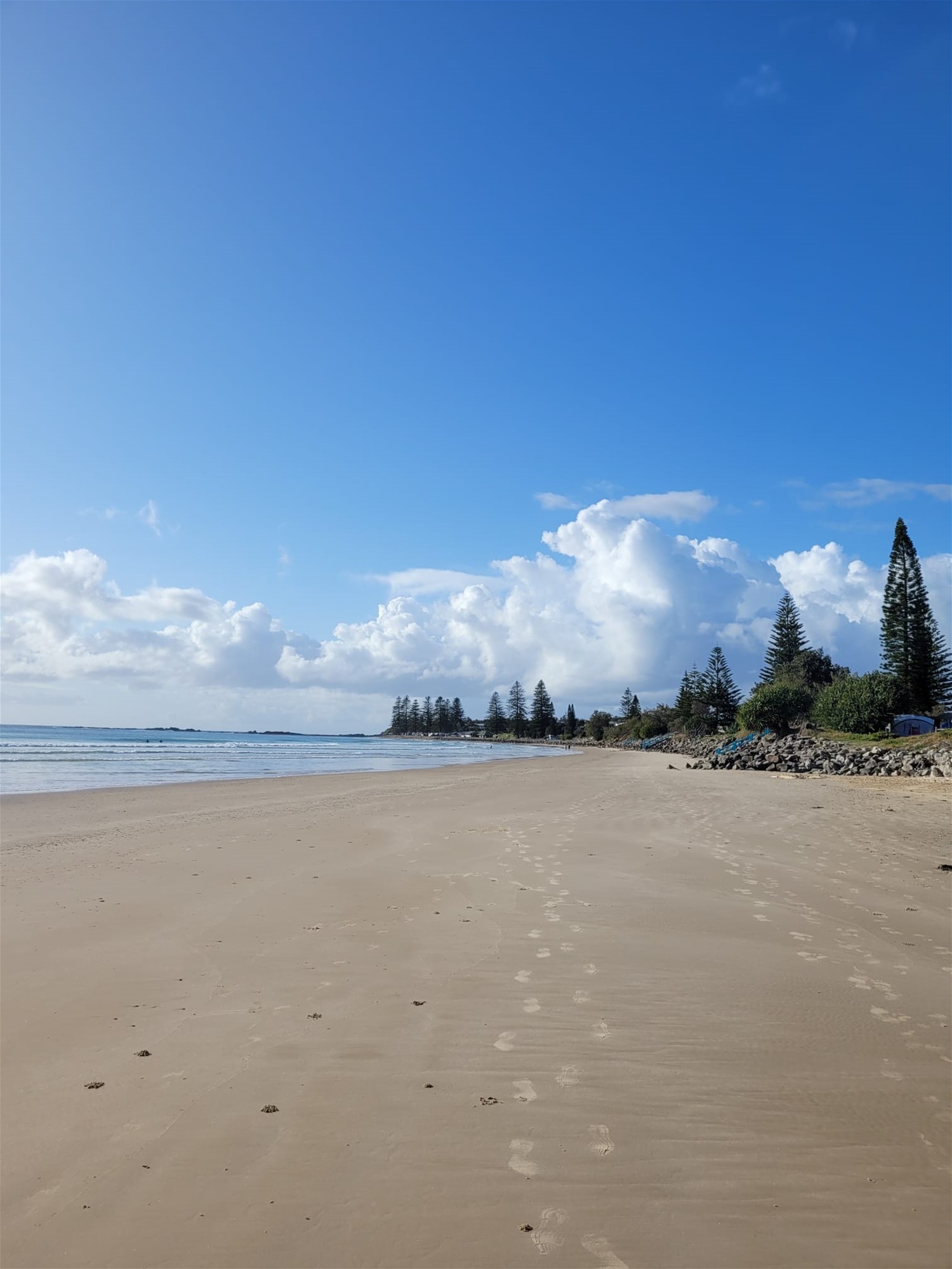 86 Ocean Road – Brooms 18
