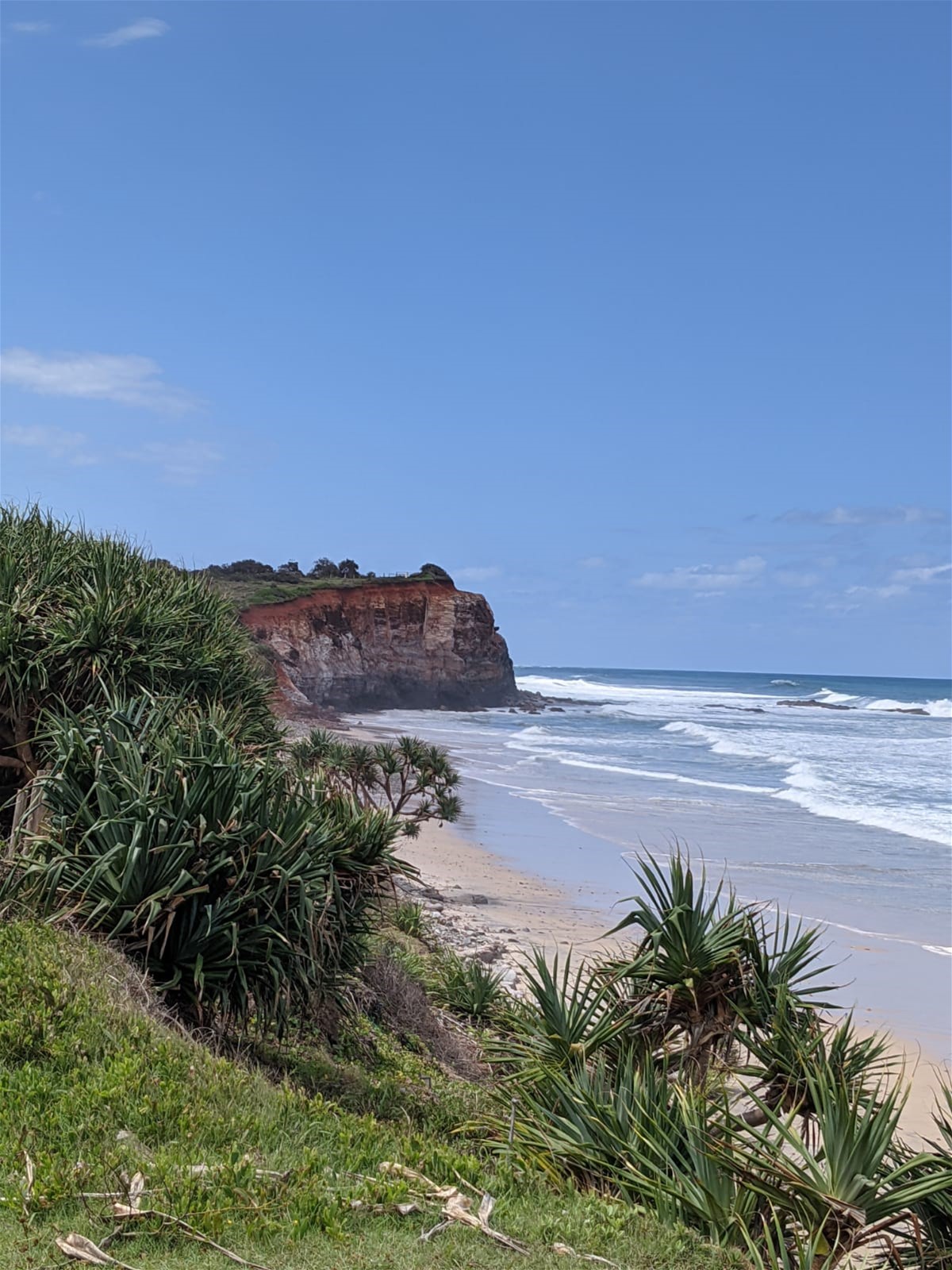 86 Ocean Road – Brooms 21