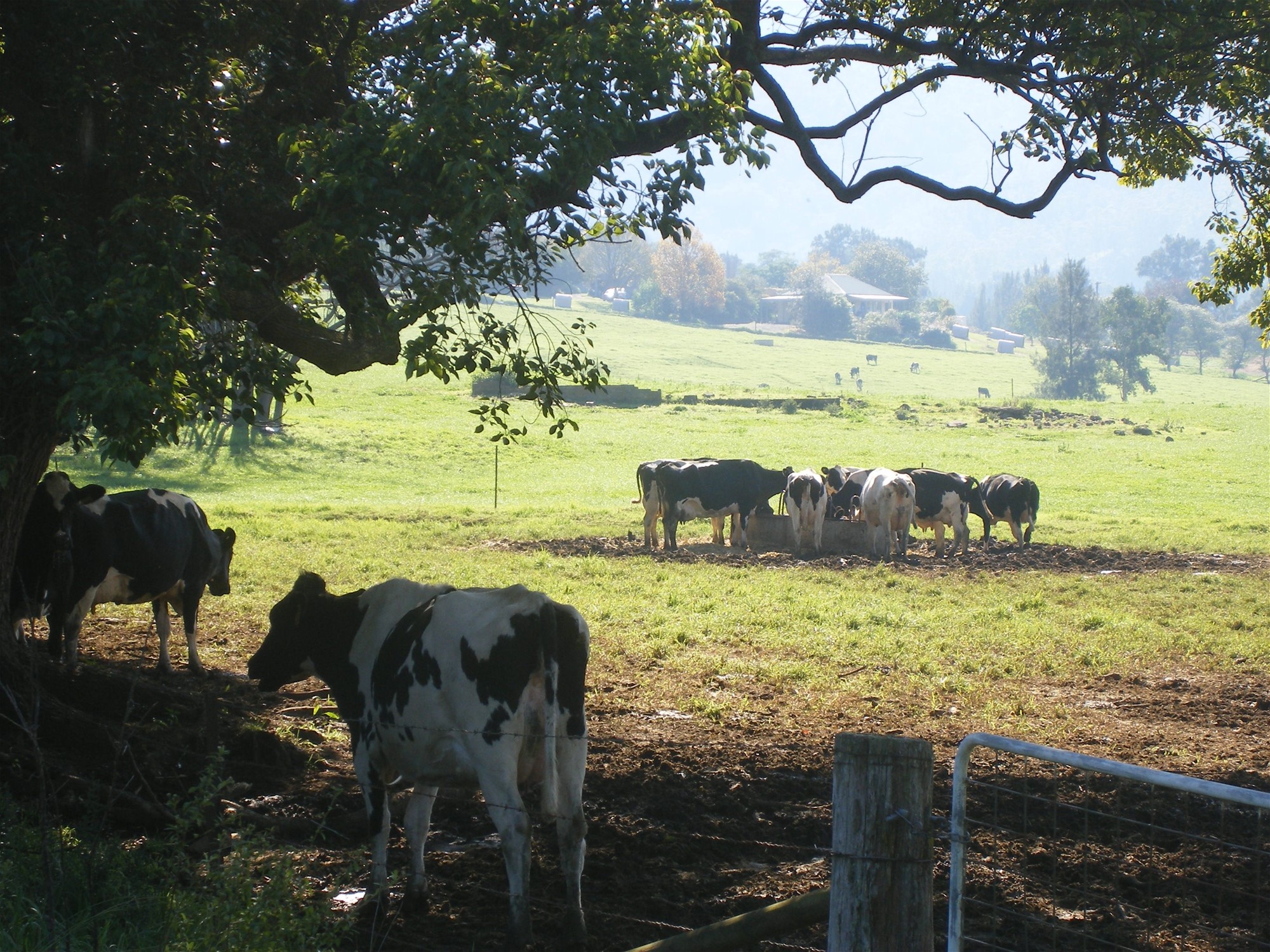Kangaroo Valley lifestyle, golf course 24