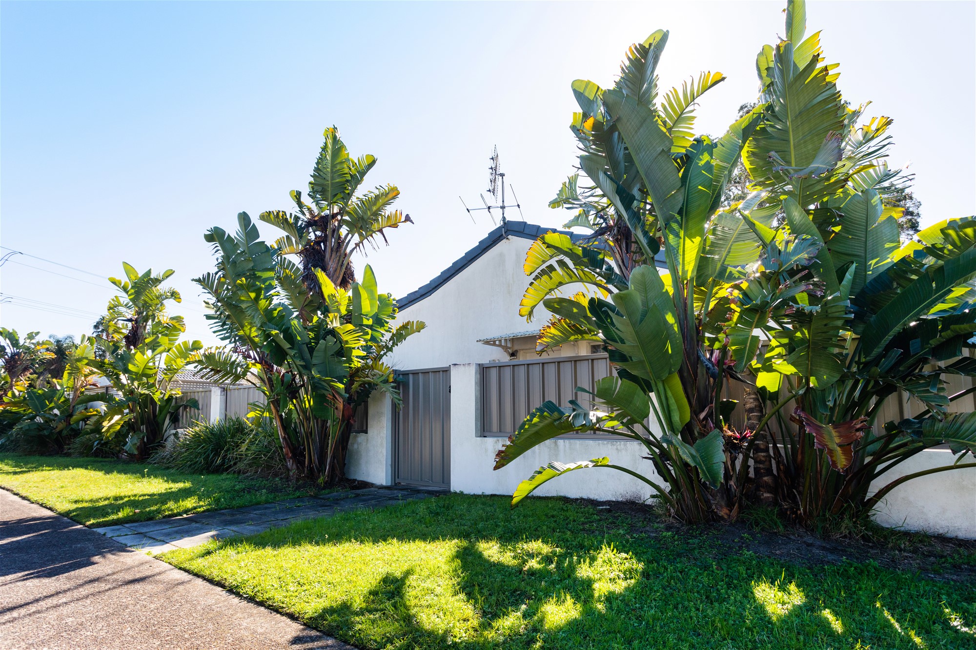 House and Granny flat right 7
