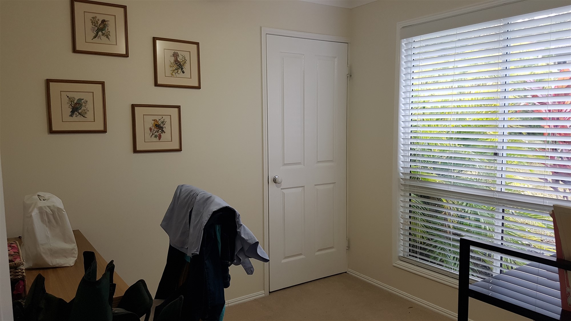 SPACIOUS HOME WITH FREINDLY BIRD 11
