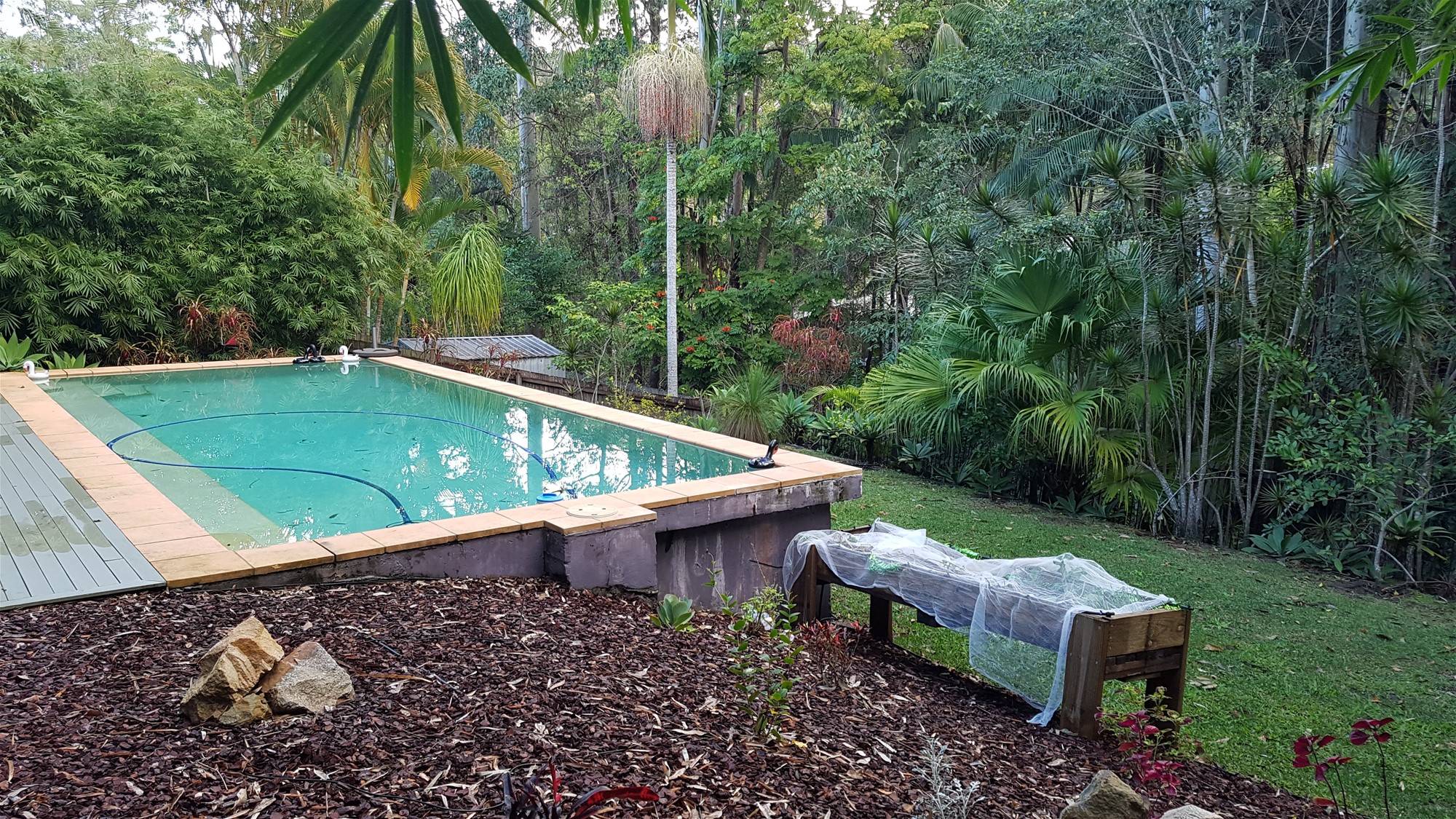 SPACIOUS HOME WITH FREINDLY BIRD 15