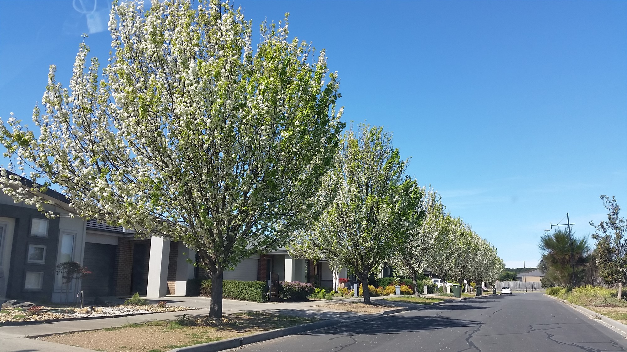 Attractive Energy efficient home on 21