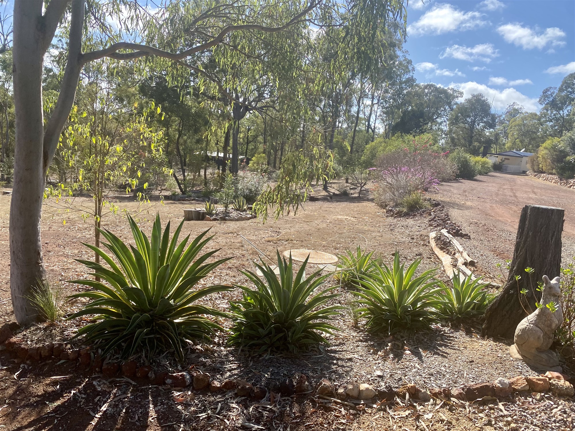 Lifestyle change on 6 acres. 29