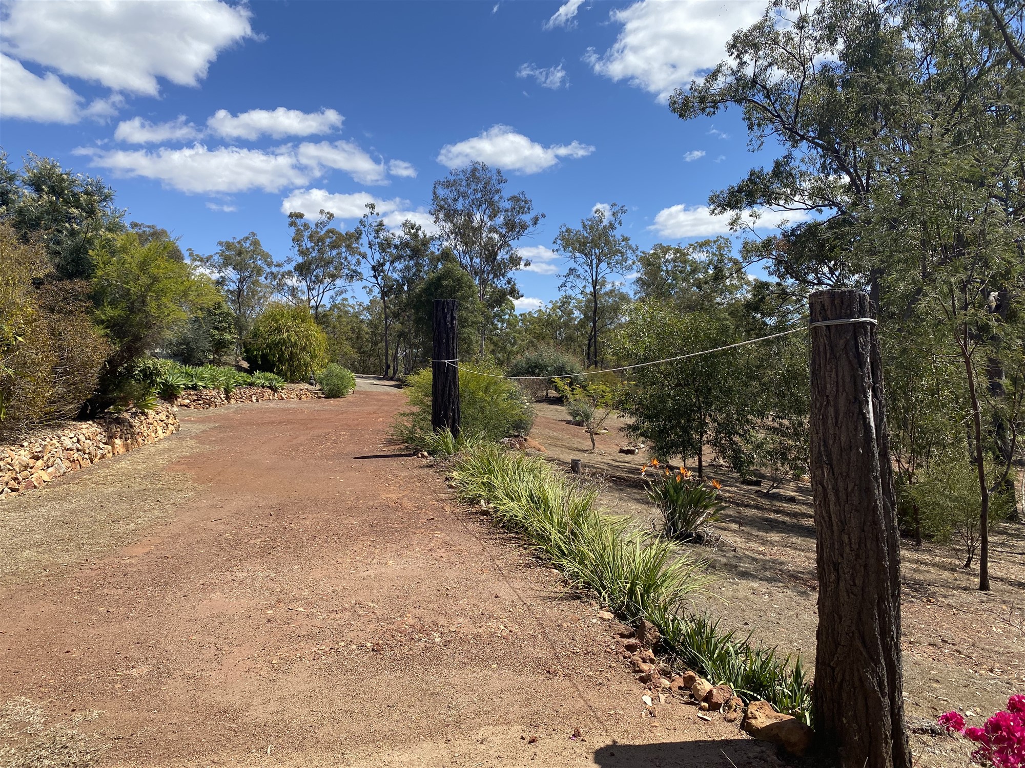 Lifestyle change on 6 acres. 28