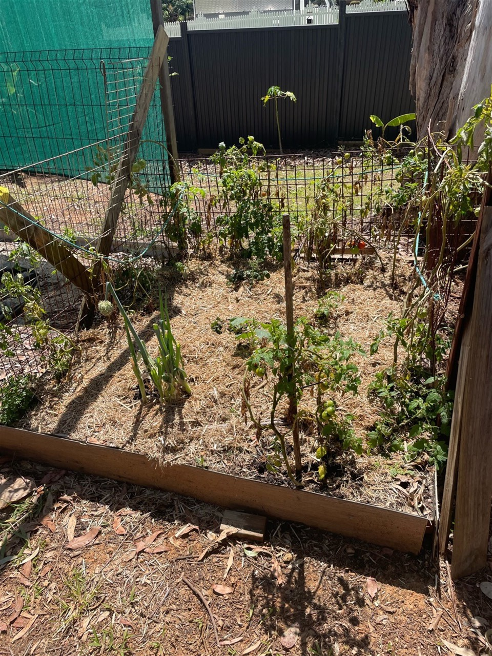 HOUSE FOR SALE AS IS 2