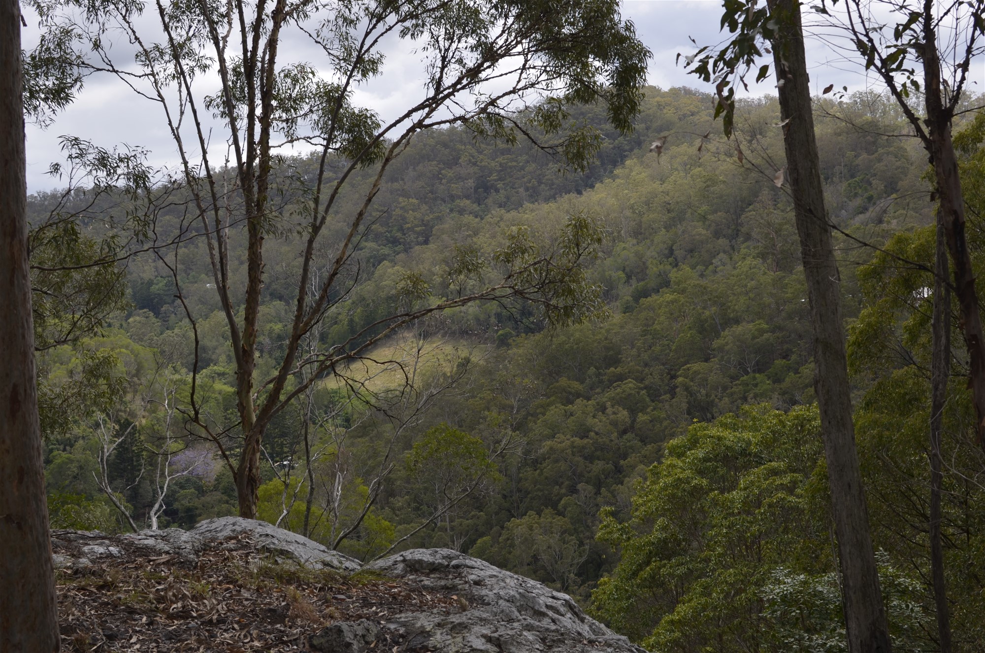Your own private ridgetop sanctuary 32