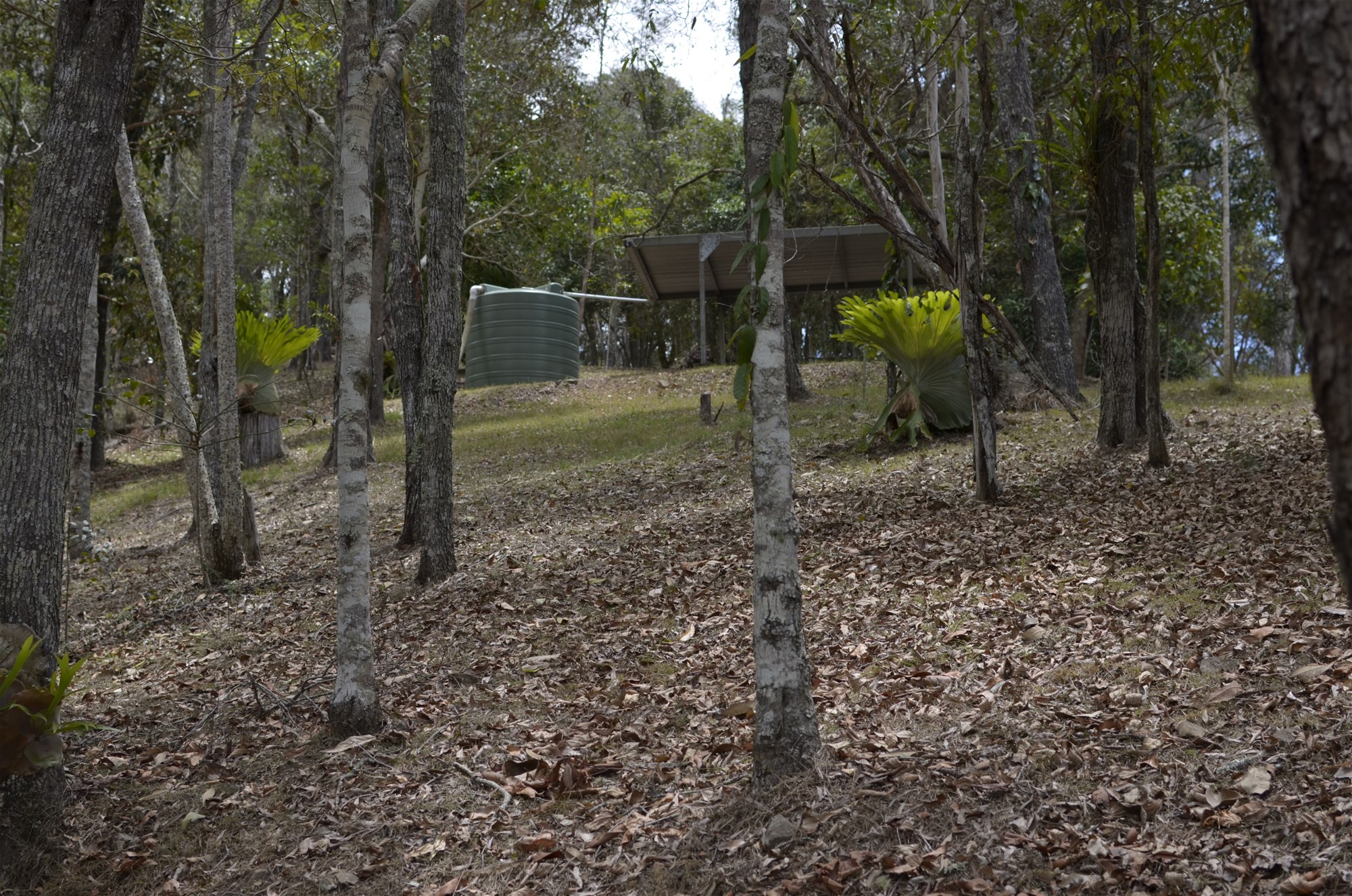 Your own private ridgetop sanctuary 36