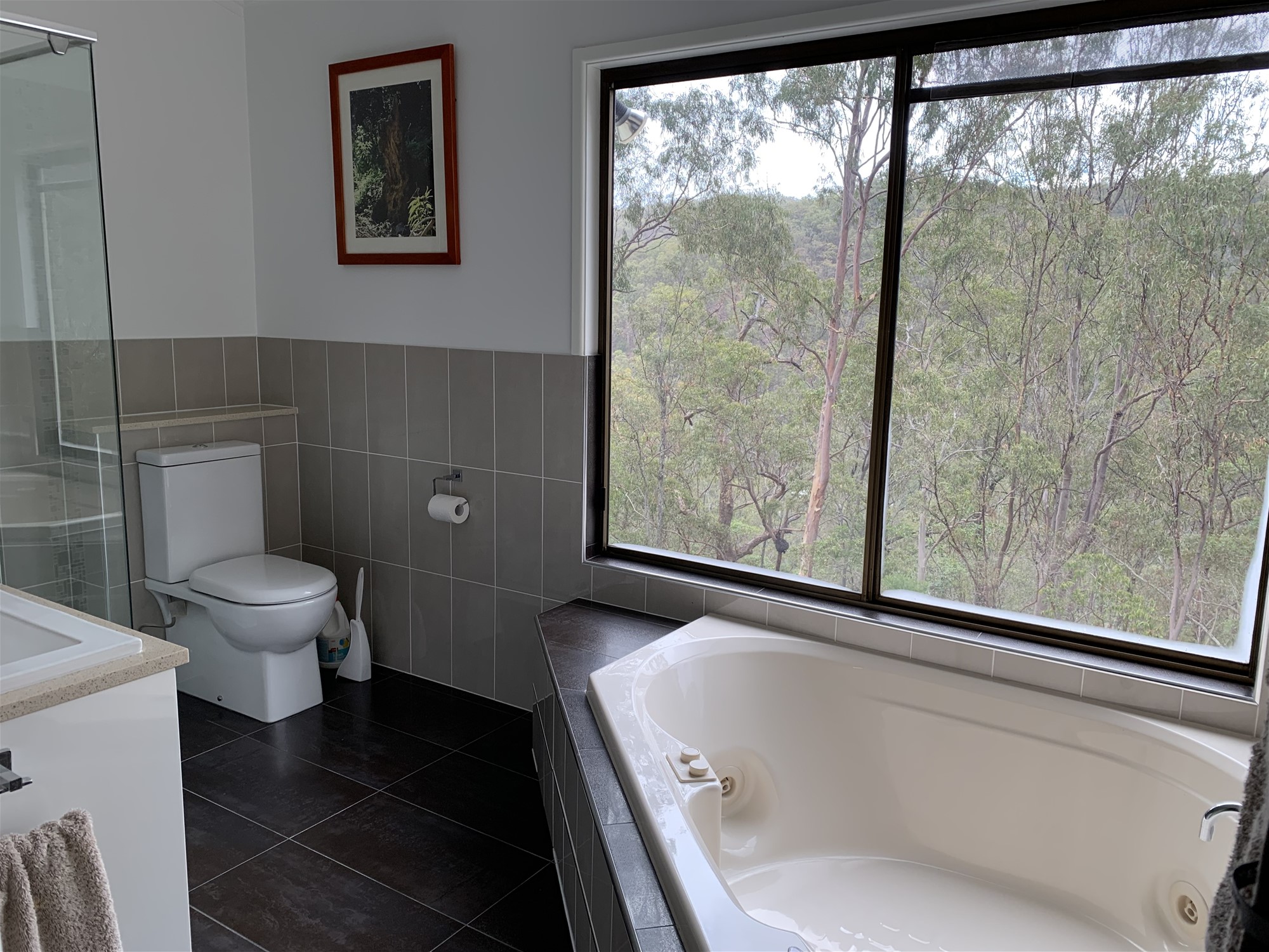 Your own private ridgetop sanctuary 20