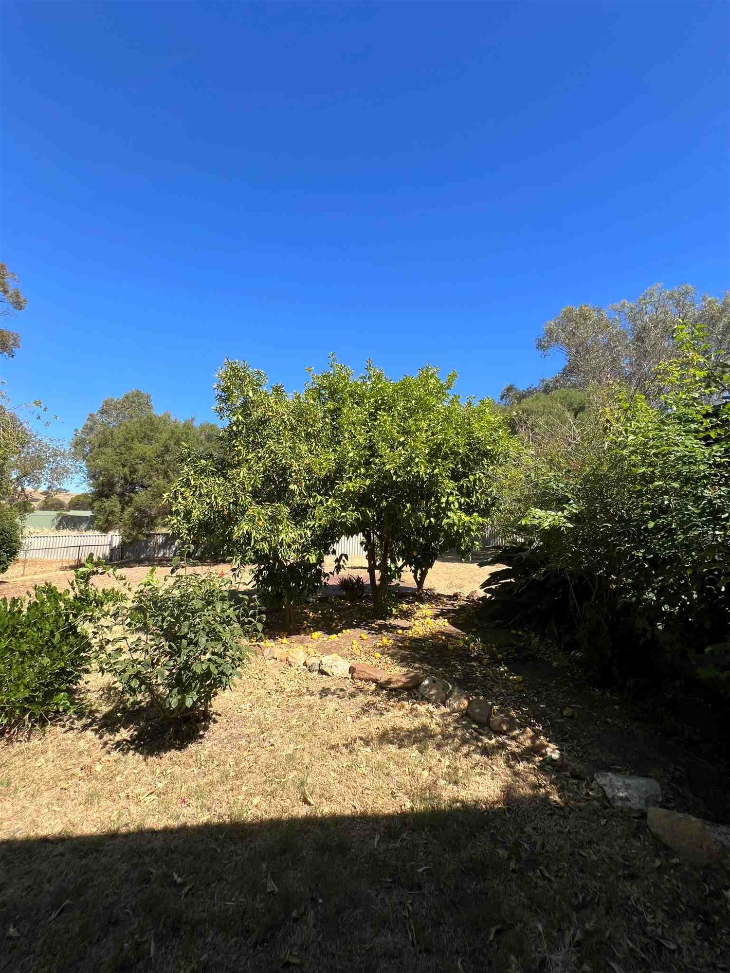 Delightful Toodyay Townsite Character Home 25