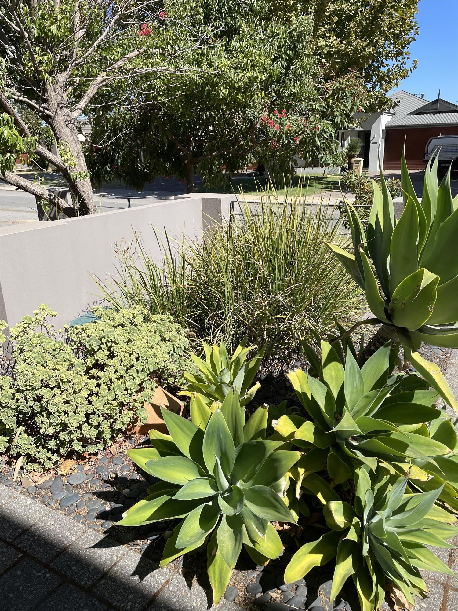 45 Baler Court Hammond Park 3