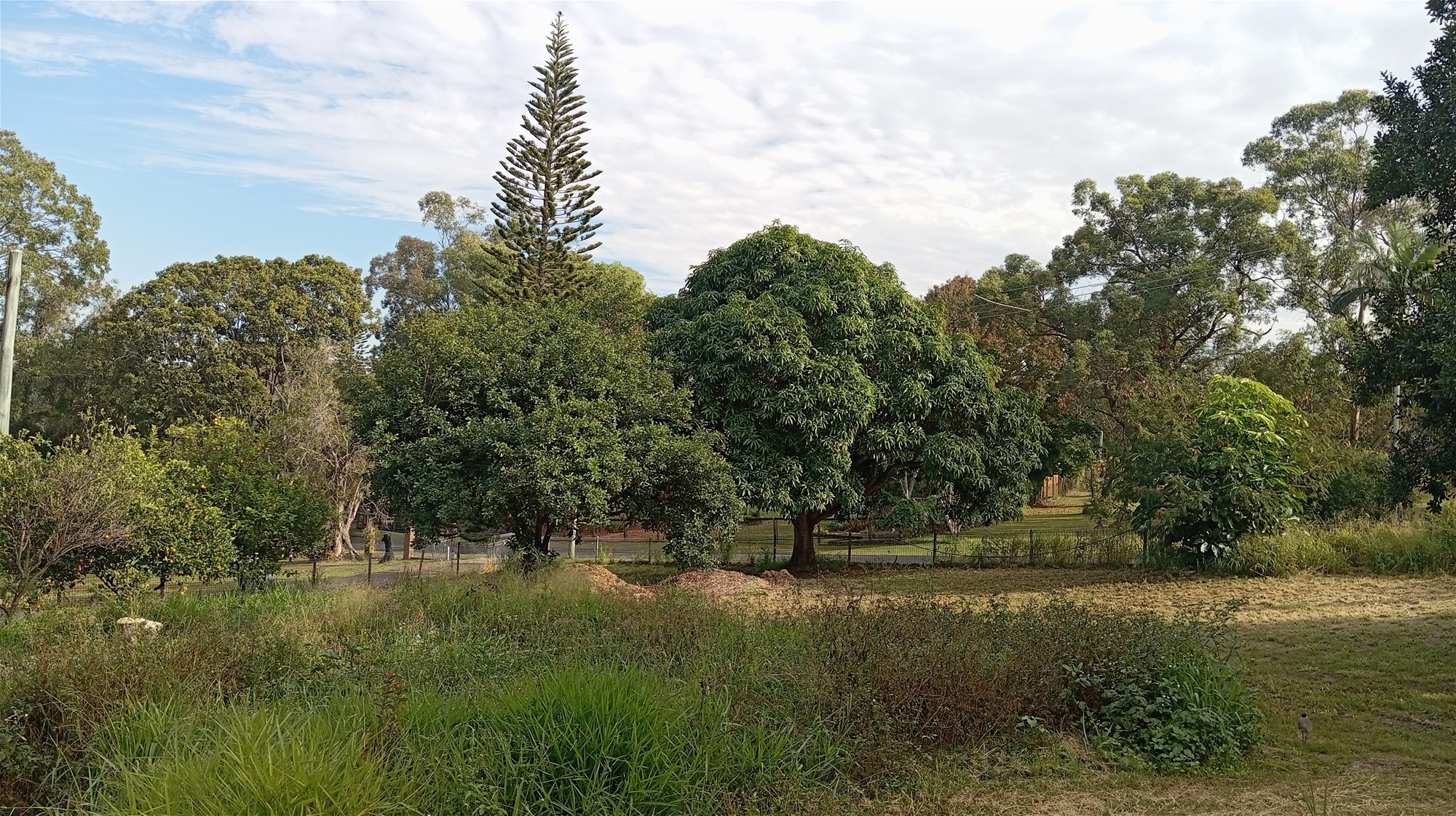 BESSER BLOCK House on 2859m2 BRISBANE NORTHSIDE