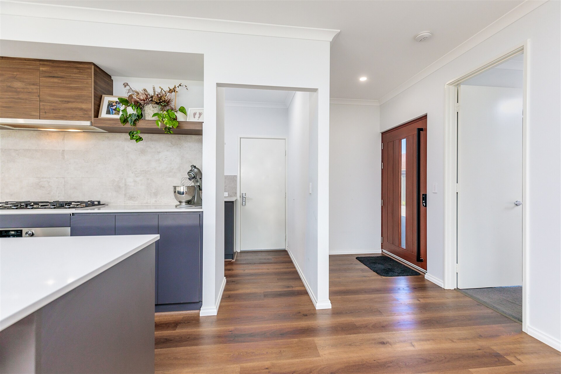 Newly built oasis 5