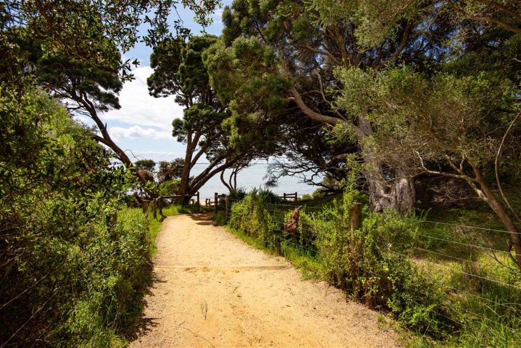 “Charming Seaside Retreat: short stroll 20