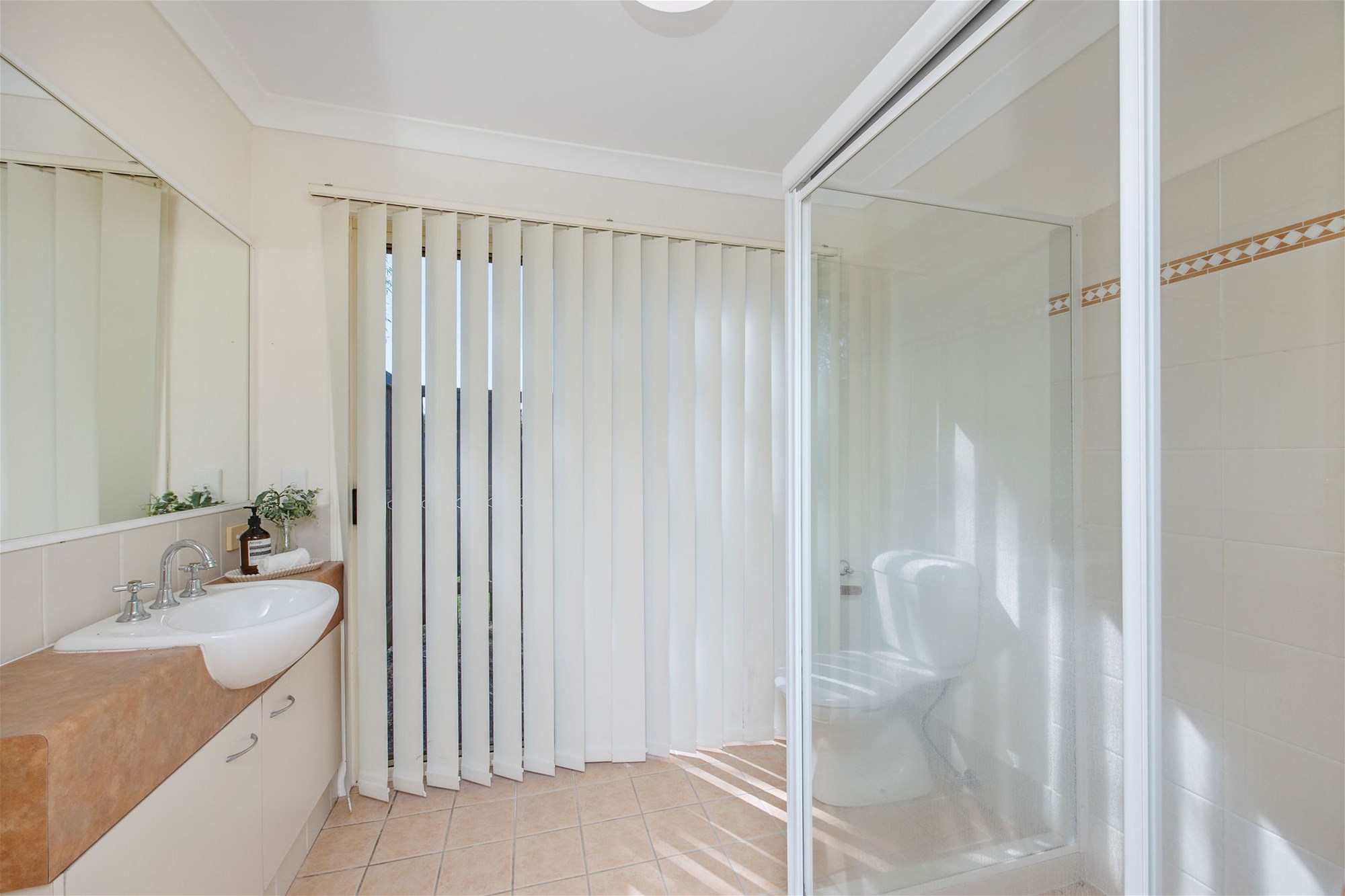 Established Single Level Family Home 8