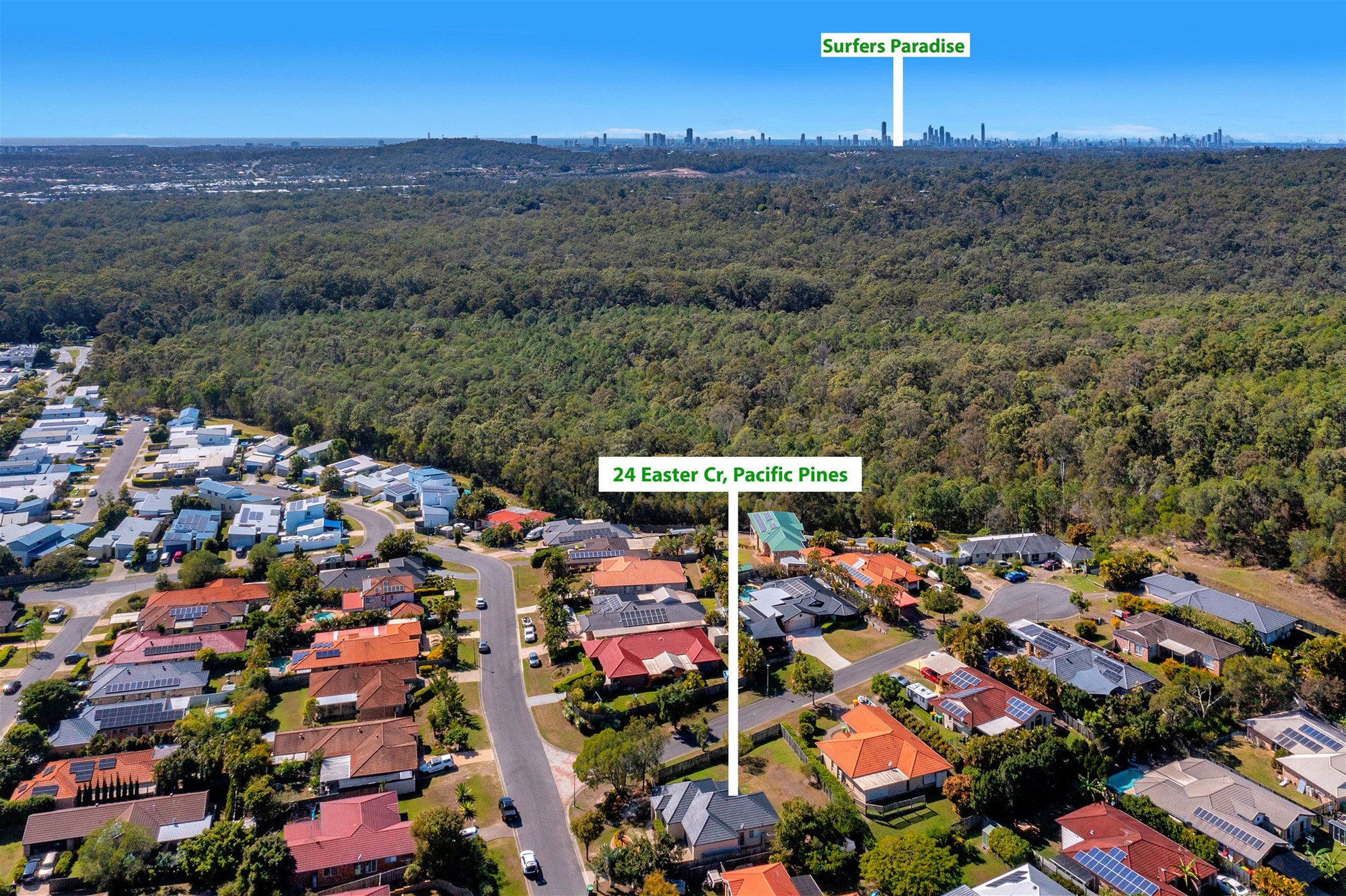 Established Single Level Family Home 13