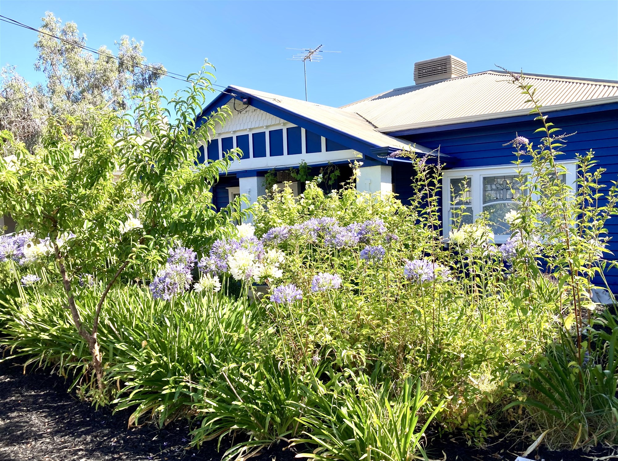SOLD!! 31.1.25 BUT … I just listed a fully renovated brick townhouse in Barooga on the Murray river $236,000. Please contact me asap if interested.
