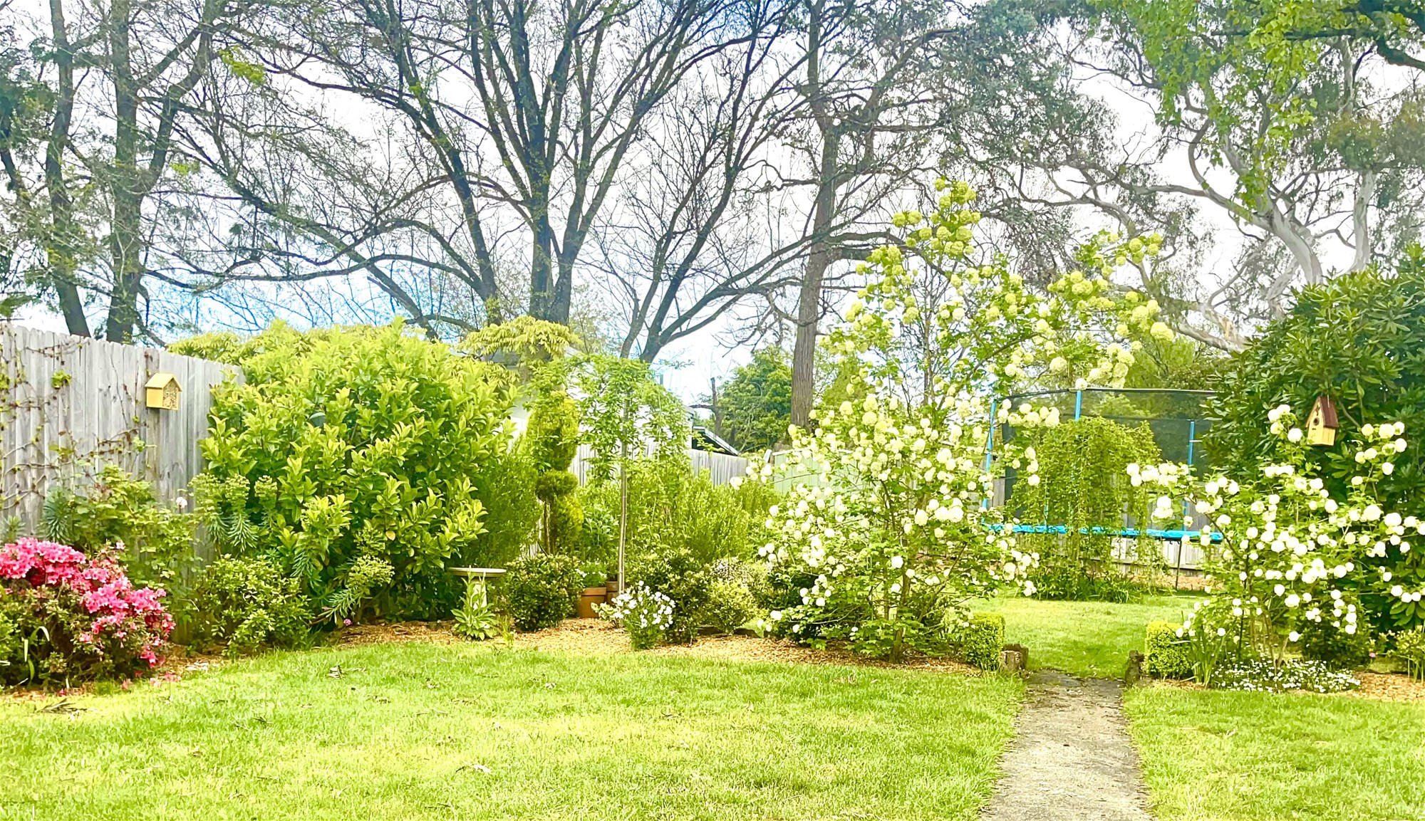 2 Bedroom + Sunroom South 13