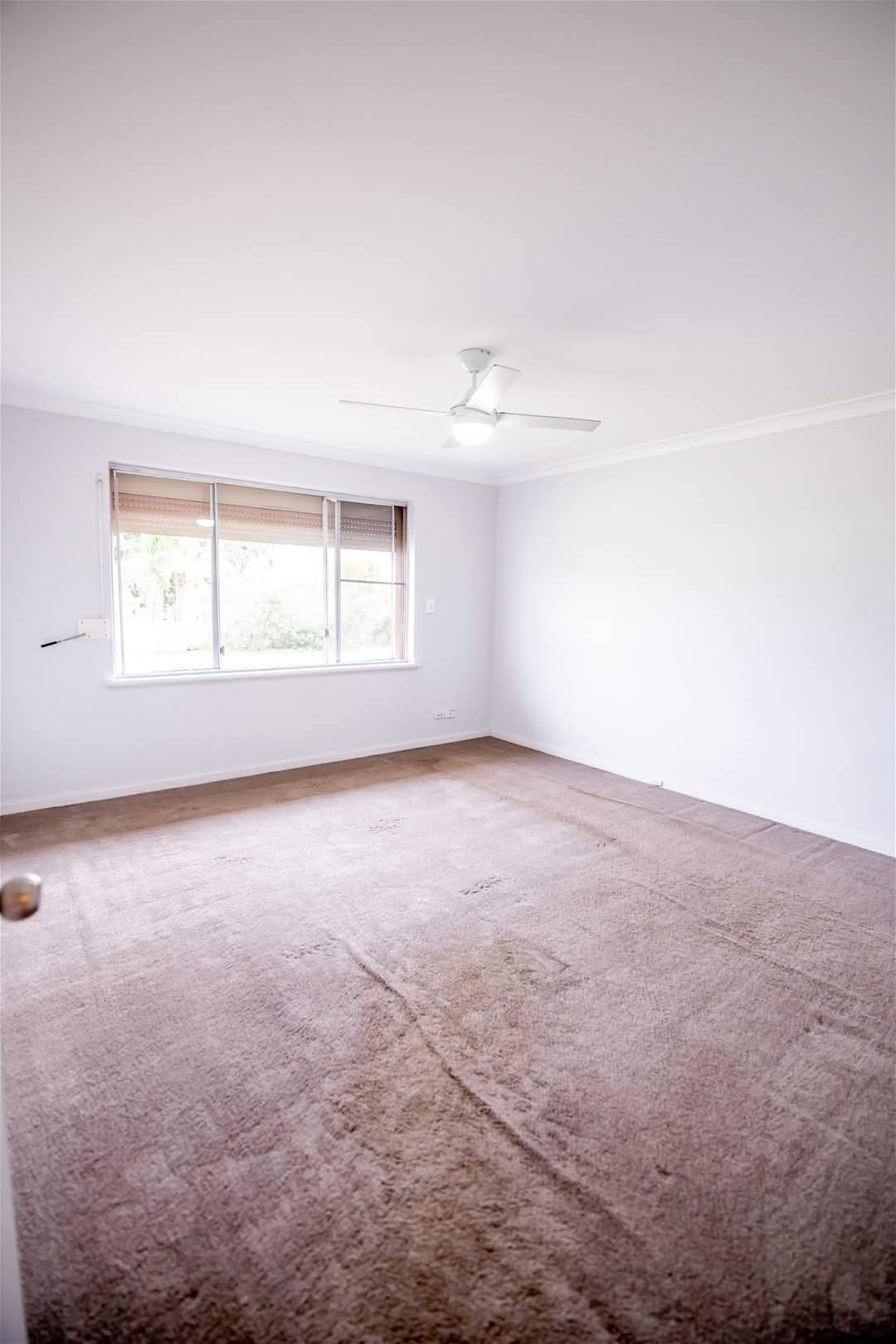 Beautiful family home or investors 9