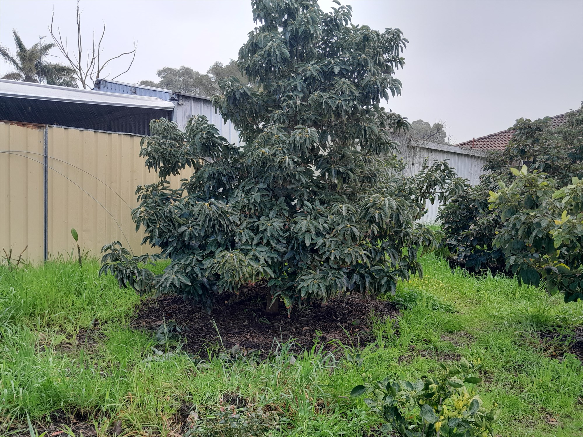 HOME FOR SALE 4/5/6 beds 18