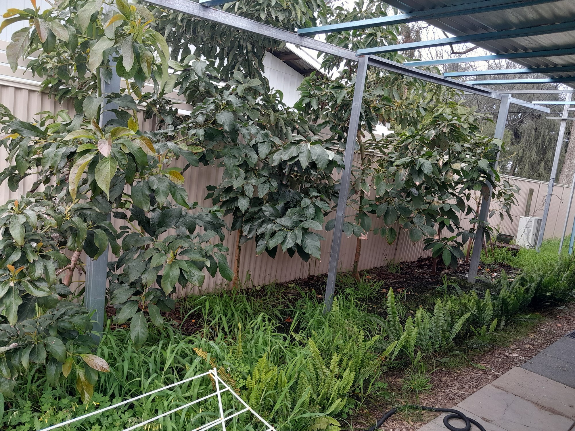 HOME FOR SALE 4/5/6 beds 20