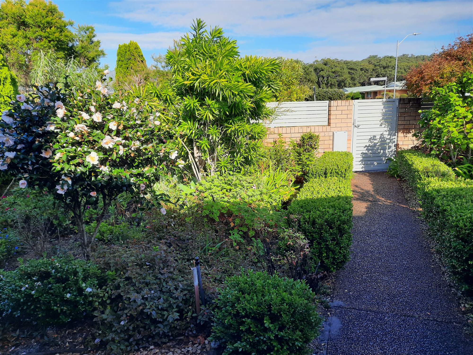 Spacious eco friendly house near 3