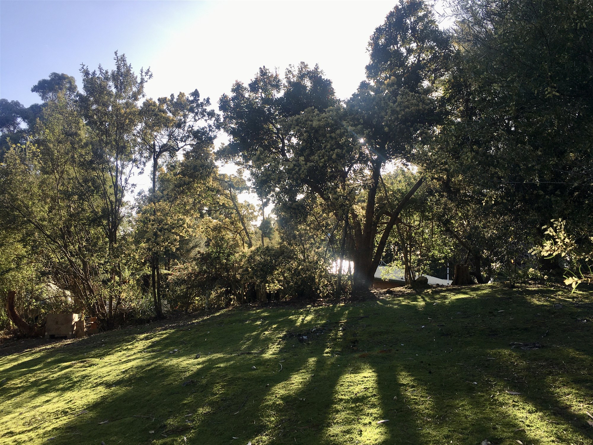 Nature and Native Animal Lovers 24