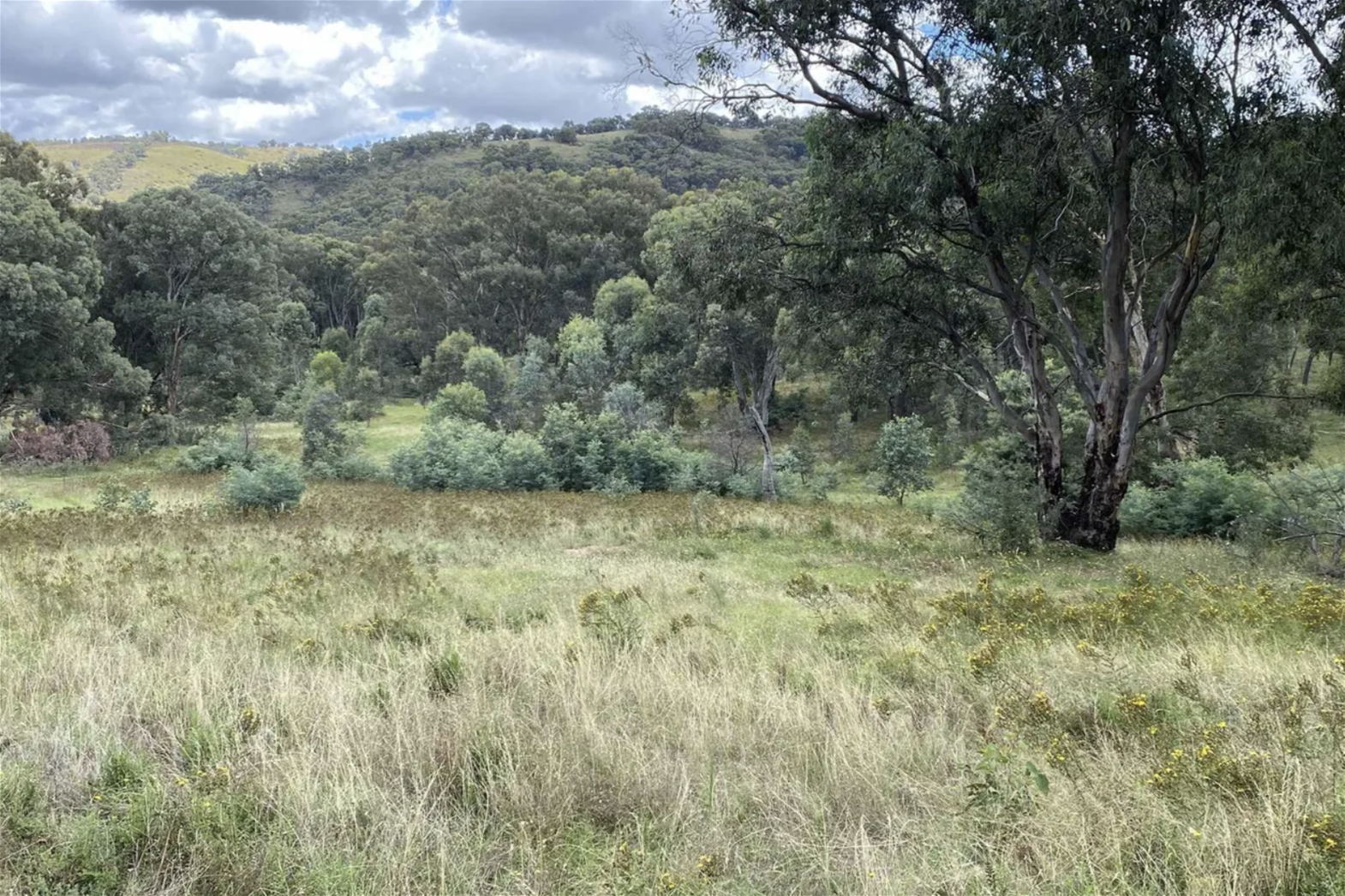 Tree Change/Rural Living on 20 6