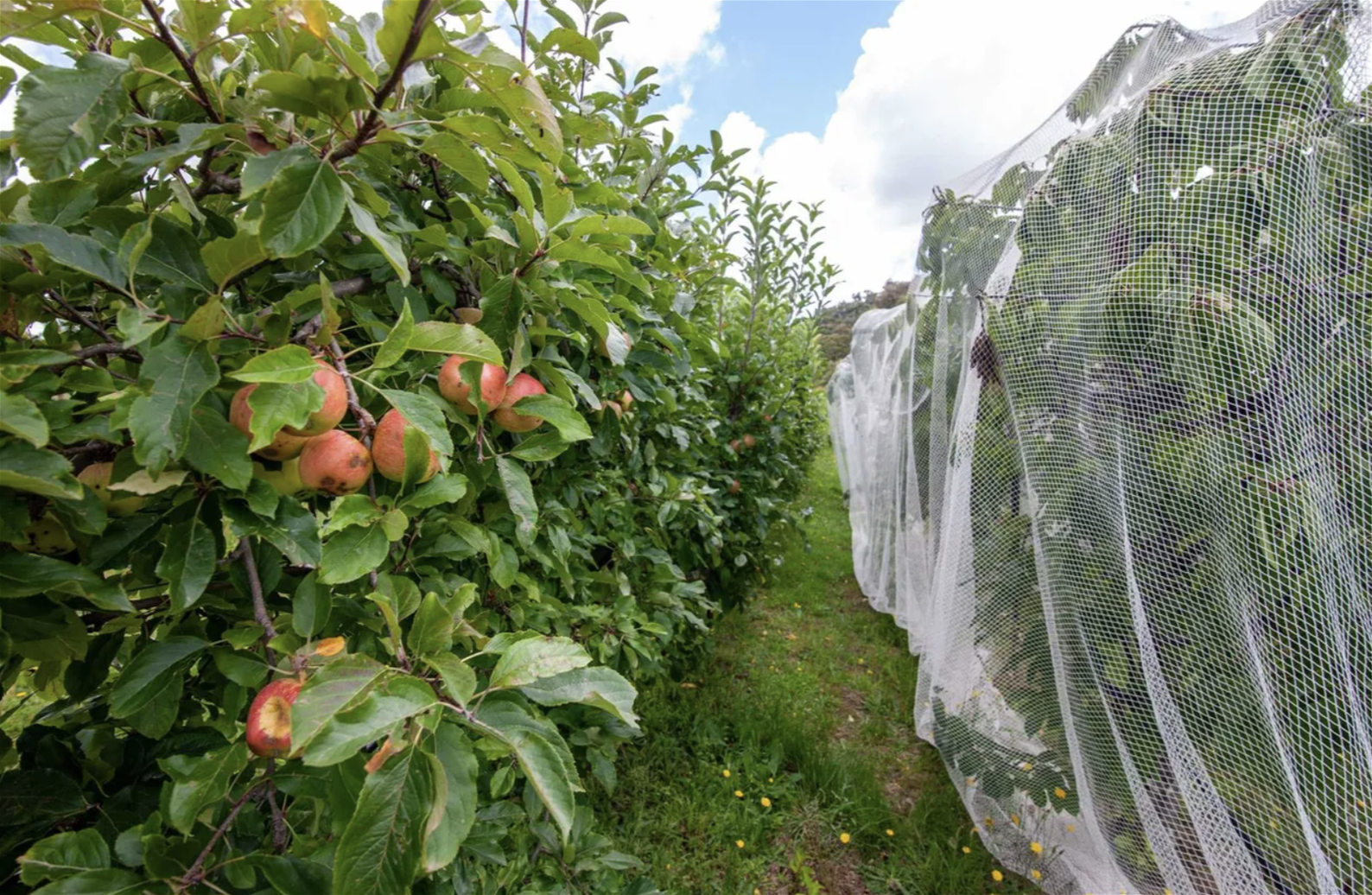 Tree Change/Rural Living on 20 4