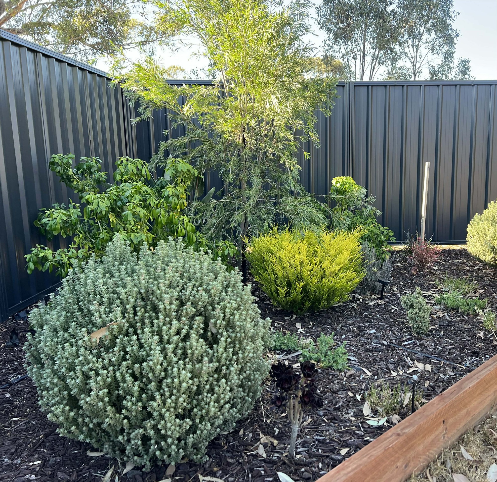 Elegant Semi Rural Family Living 20