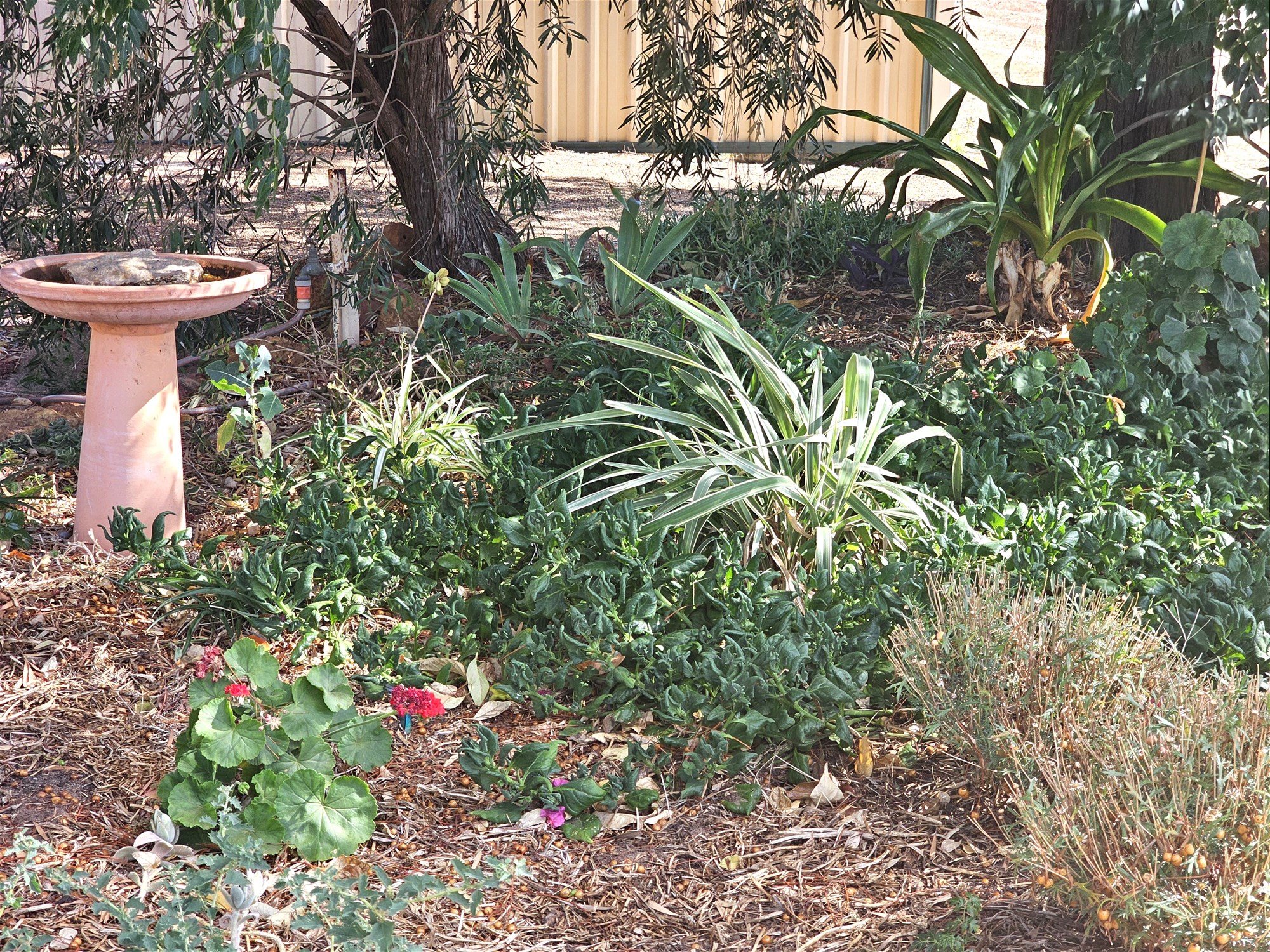 Move-in Ready Home in Quiet 15