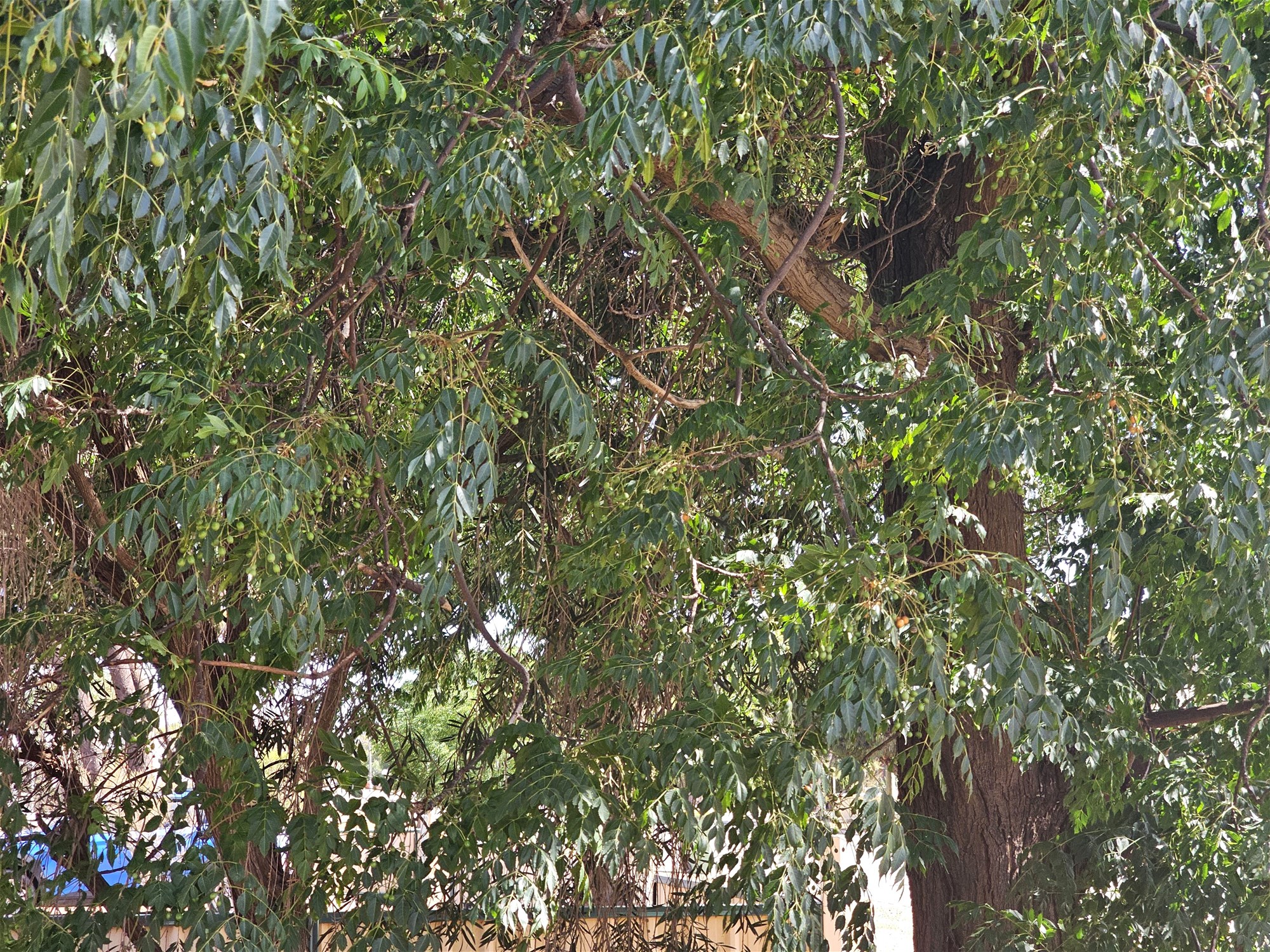 Move-in Ready Home in Quiet 16