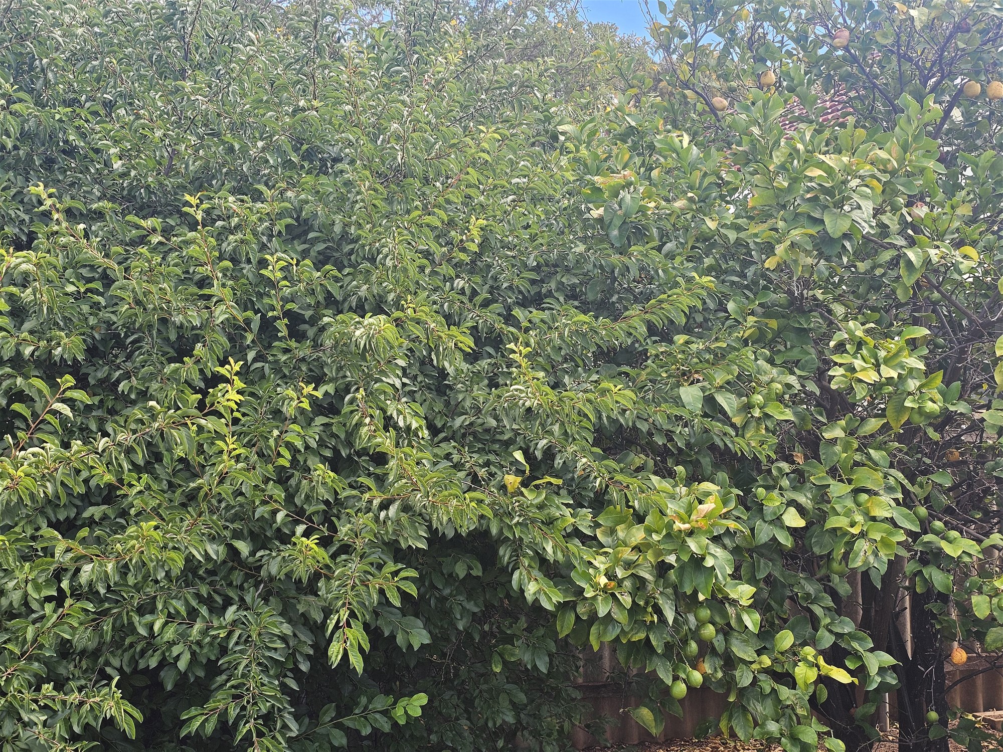 Move-in Ready Home in Quiet 18