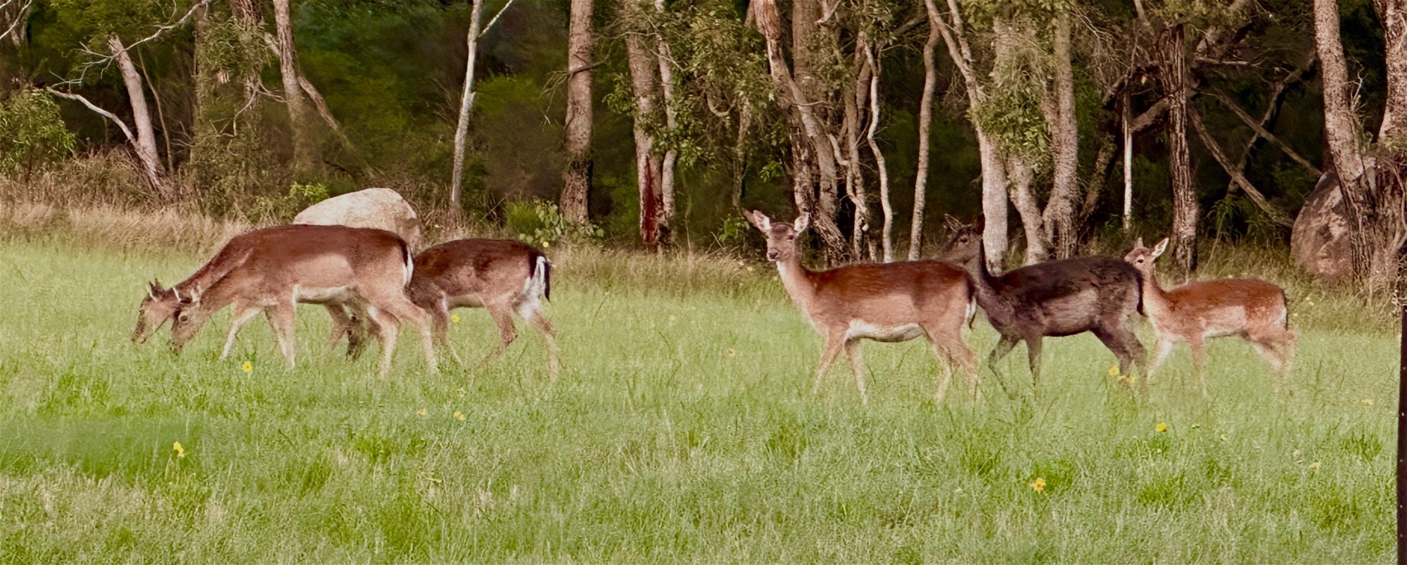 Escape the City – Welcome 19