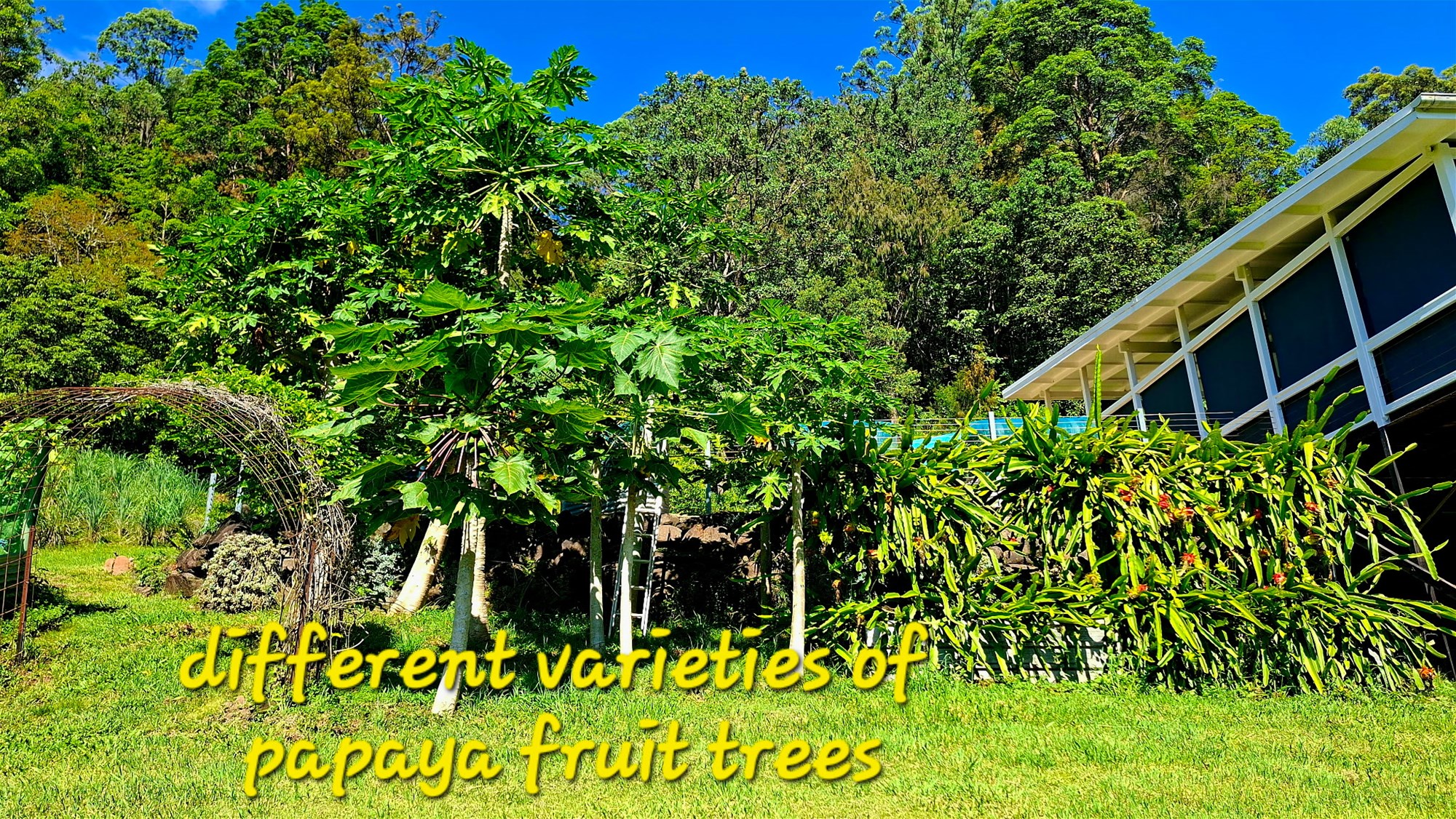 QUALITY OFF GRID HOME AND 25