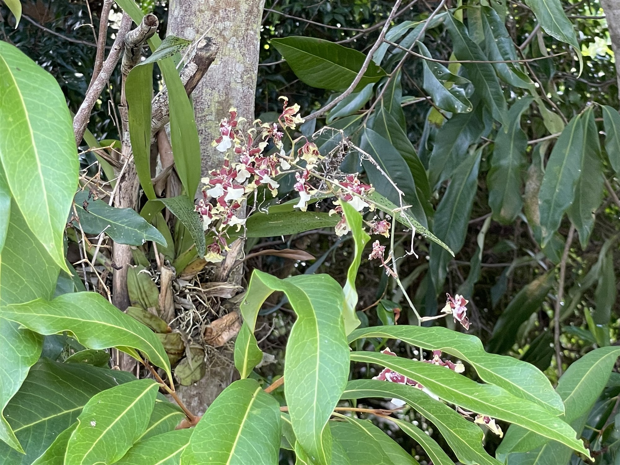 Spacious Family Home with 2-Bed 40