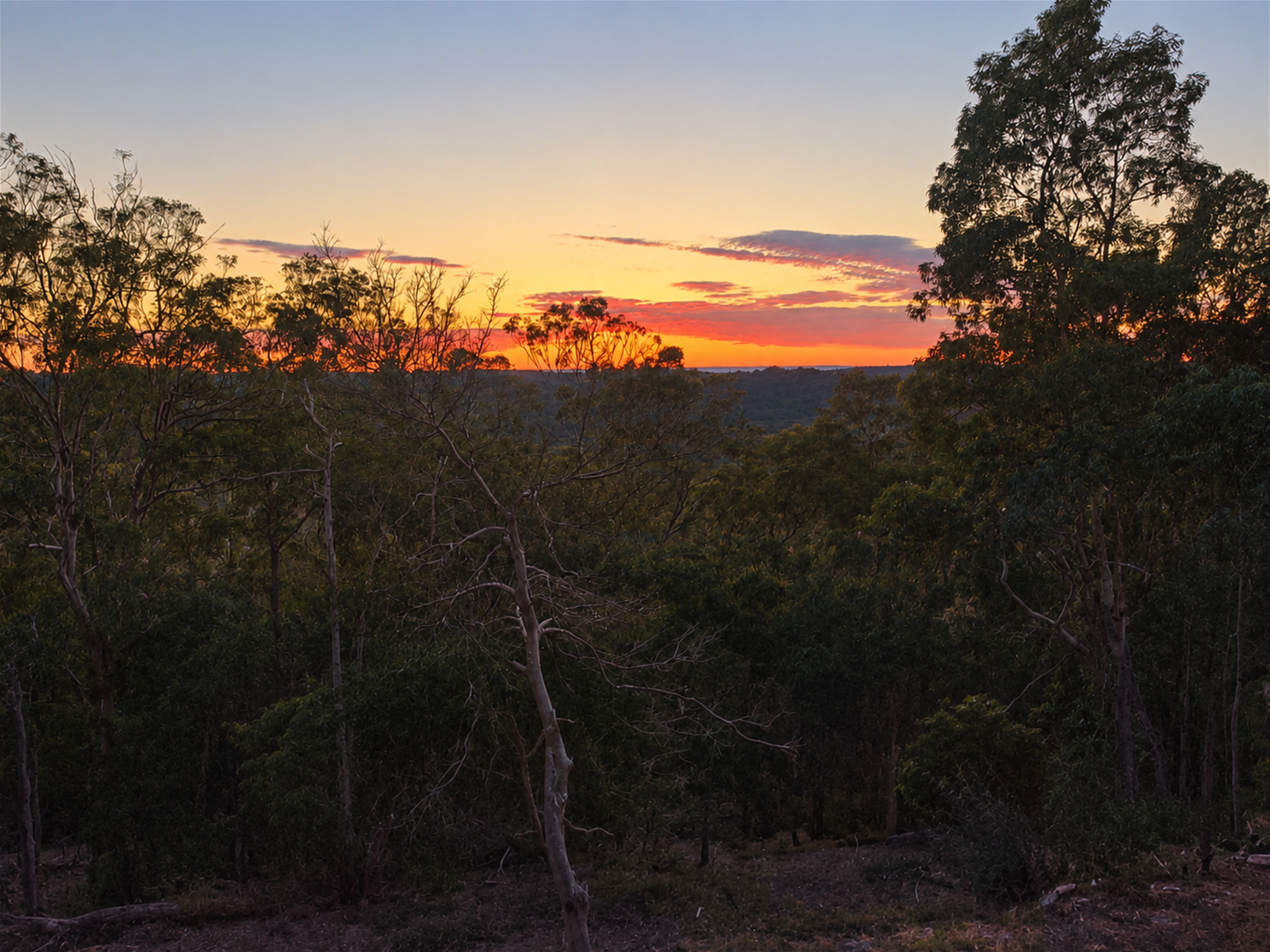 Coming Soon: Wake to Spectacular Sunrises in Your Own Private Five-Acre Sanctuary, photo 6