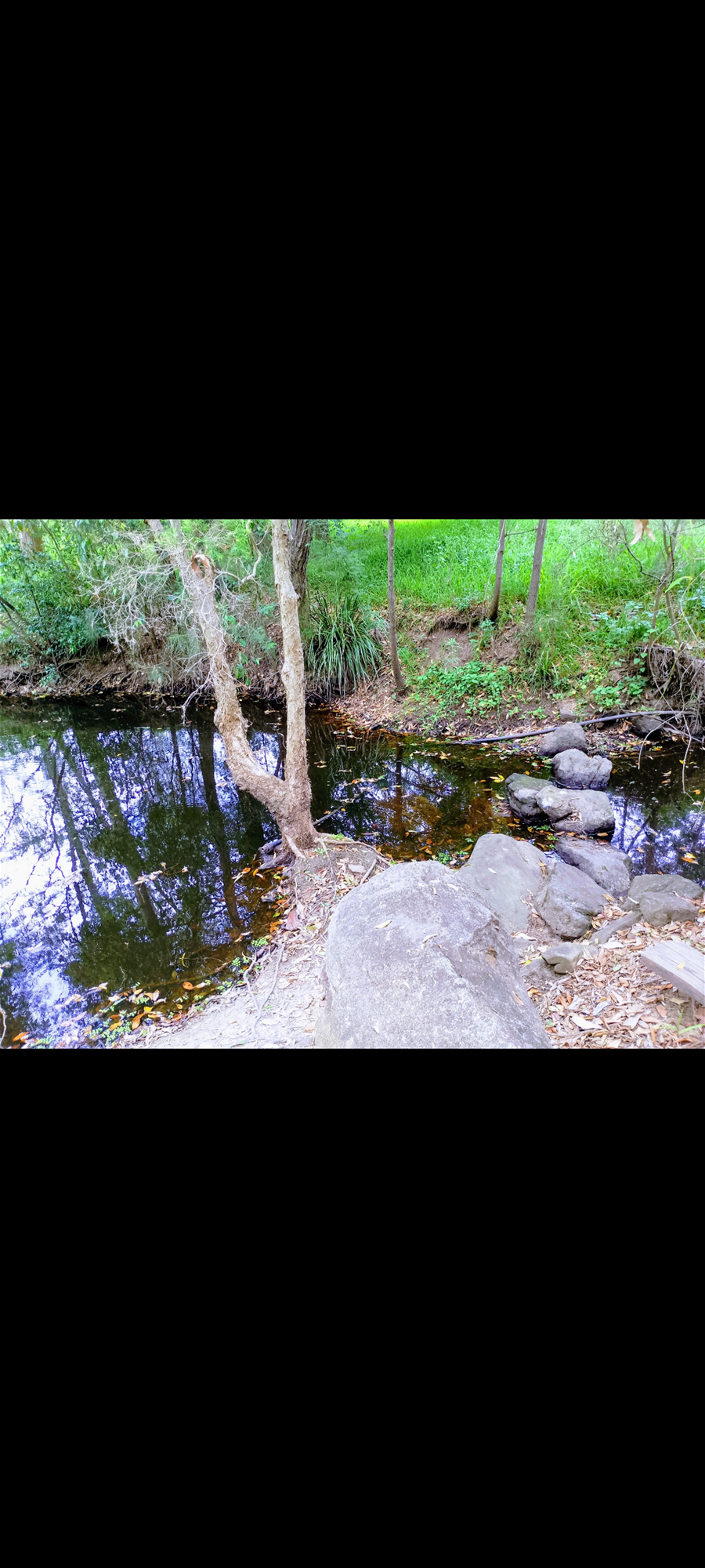 Large acreage home for sale in Logan Reserve, photo 10